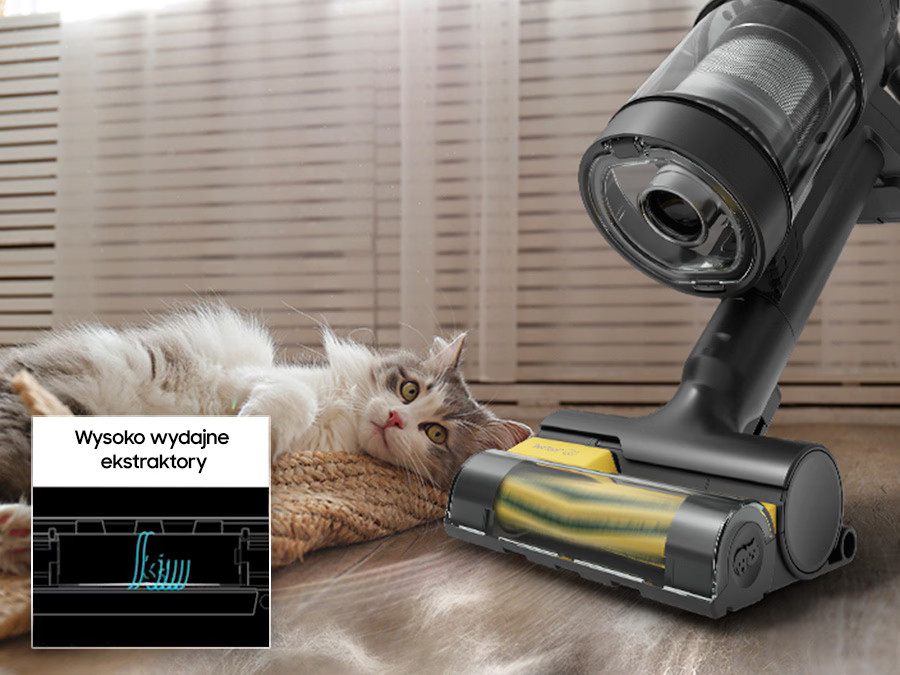Kot leżący na dywanie, odkurzacz czyszczący podłogę. Schemat pokazuje wydajne ekstrakrory.