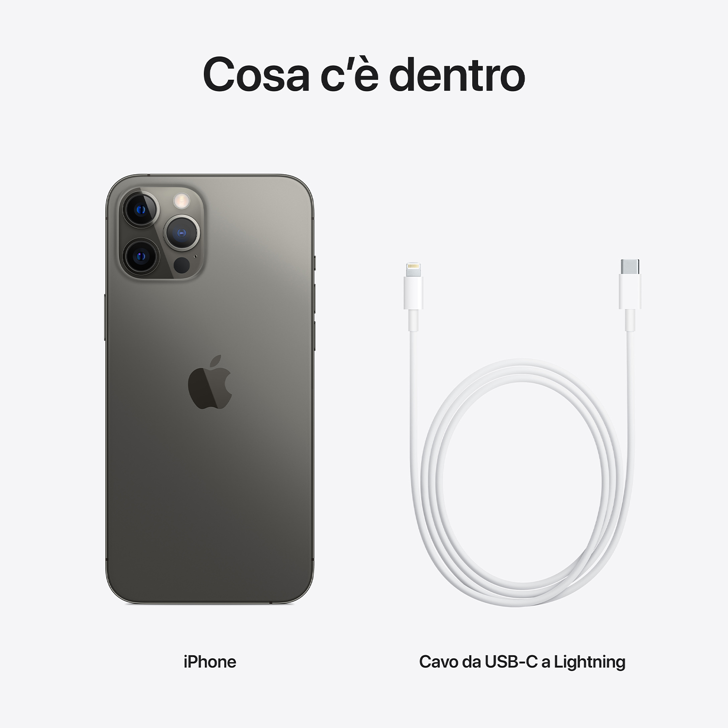 Il retro di un iPhone e un cavo da USB-C a Lightning bianco su sfondo bianco.