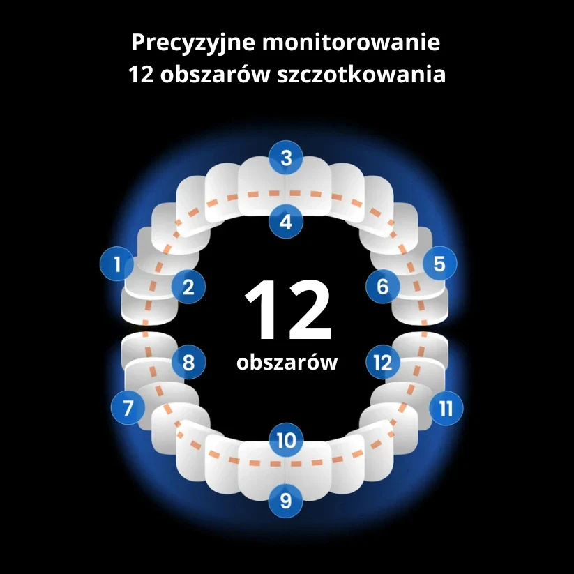 Schemat pokazujący 12 stref szczotkowania na modelu zęba, ponumerowanych i oznaczonych kolorami na ciemnym tle.