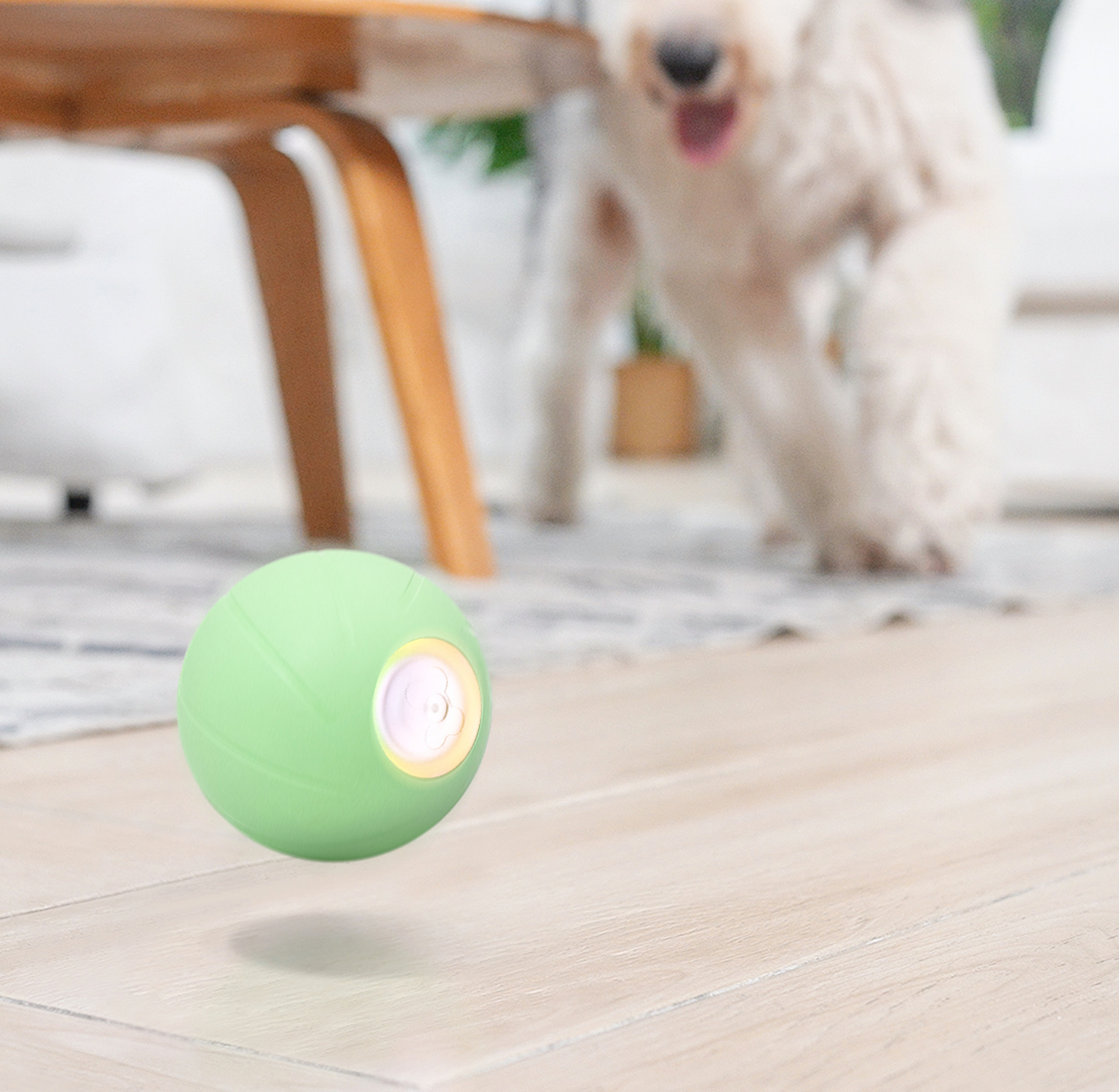 Ein grünes Spielzeug mit Licht liegt auf dem Boden. Im Hintergrund ist ein unscharfer Hund zu sehen.