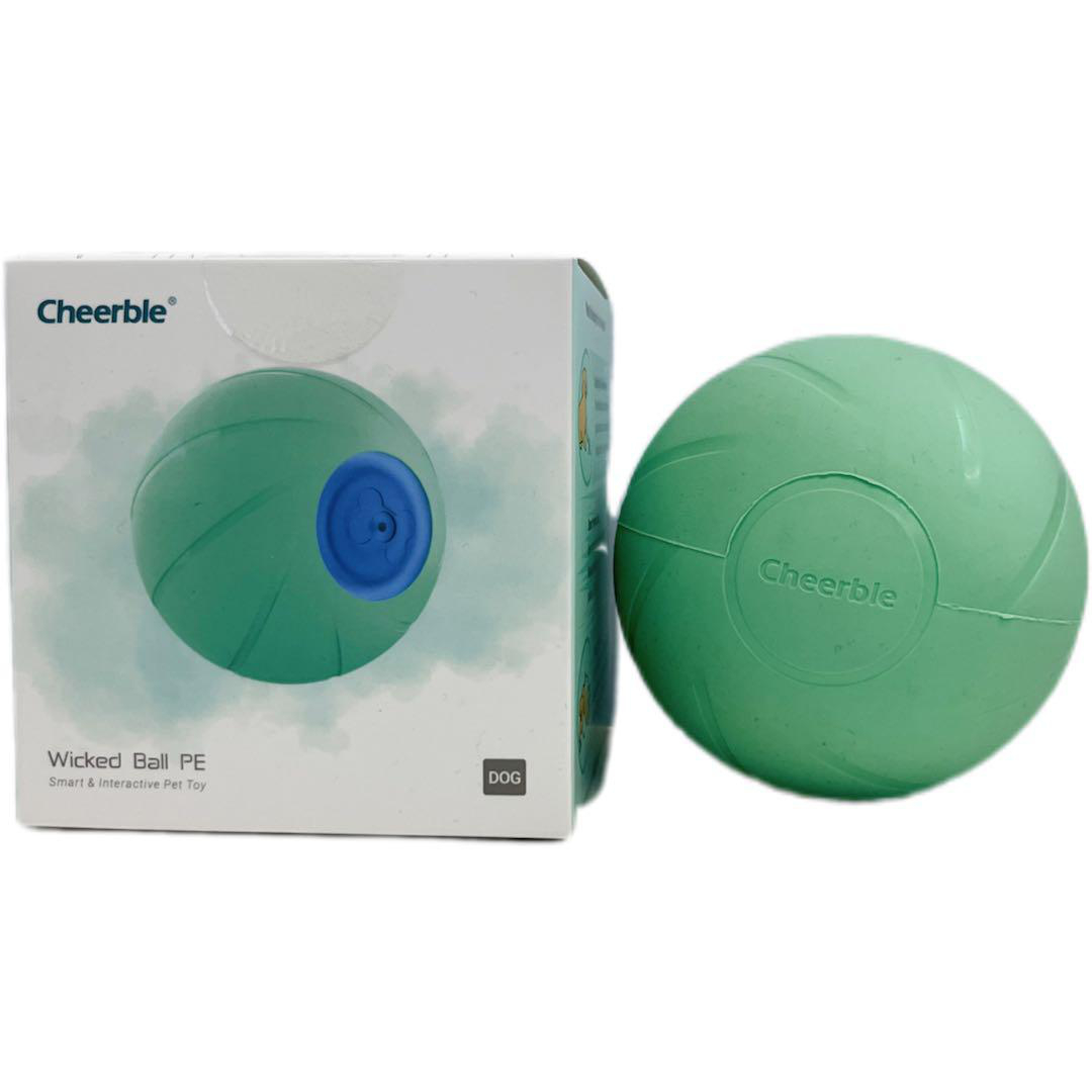 Ein Hundespielzeug in einer Box und das Spielzeug selbst. Text: Wicked Ball PE Smart & Interactive Pet Toy.