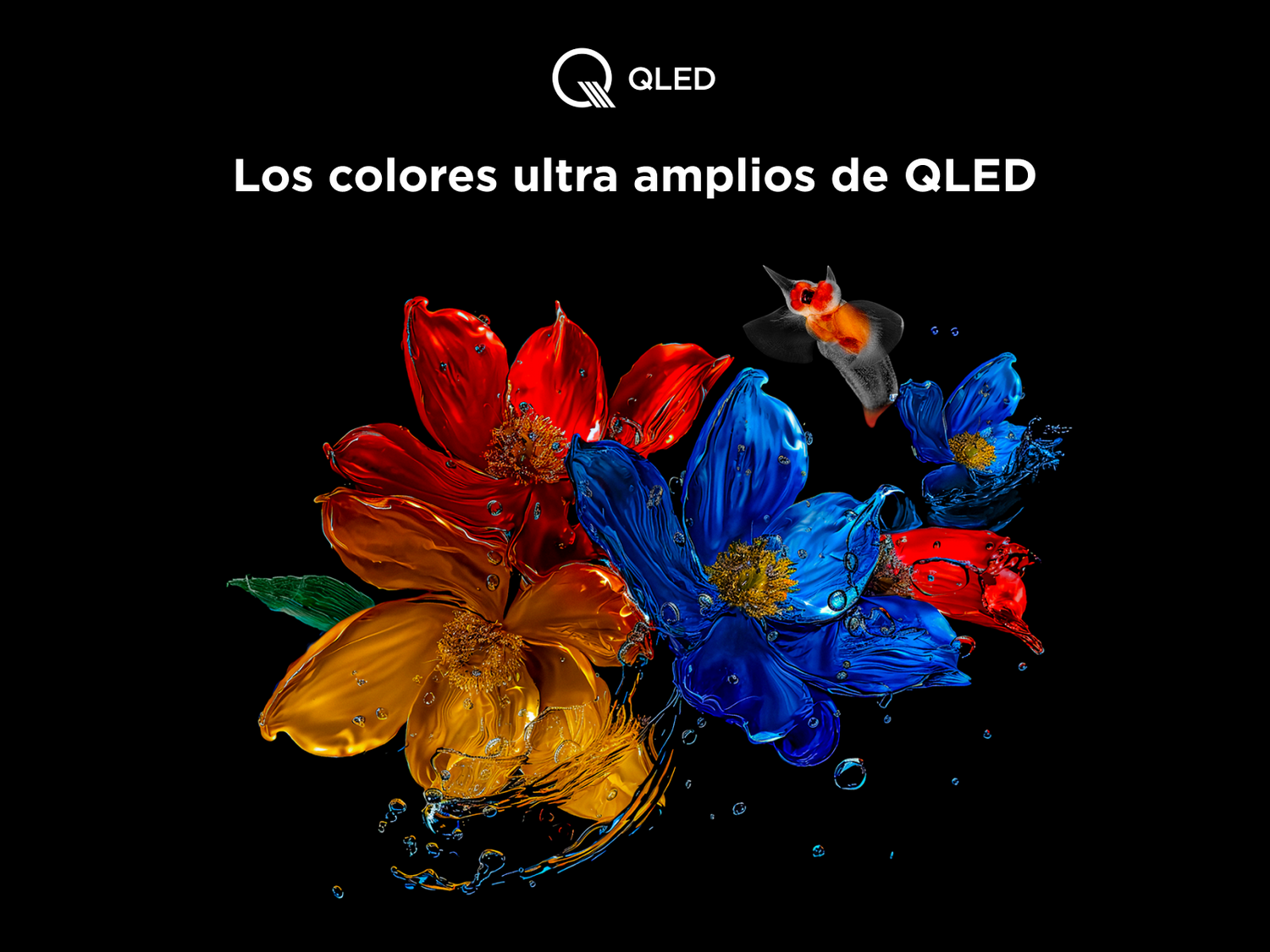 Imagen de flores con colores vibrantes sobre fondo negro. Texto: 'Colores ultra amplios QLED'.