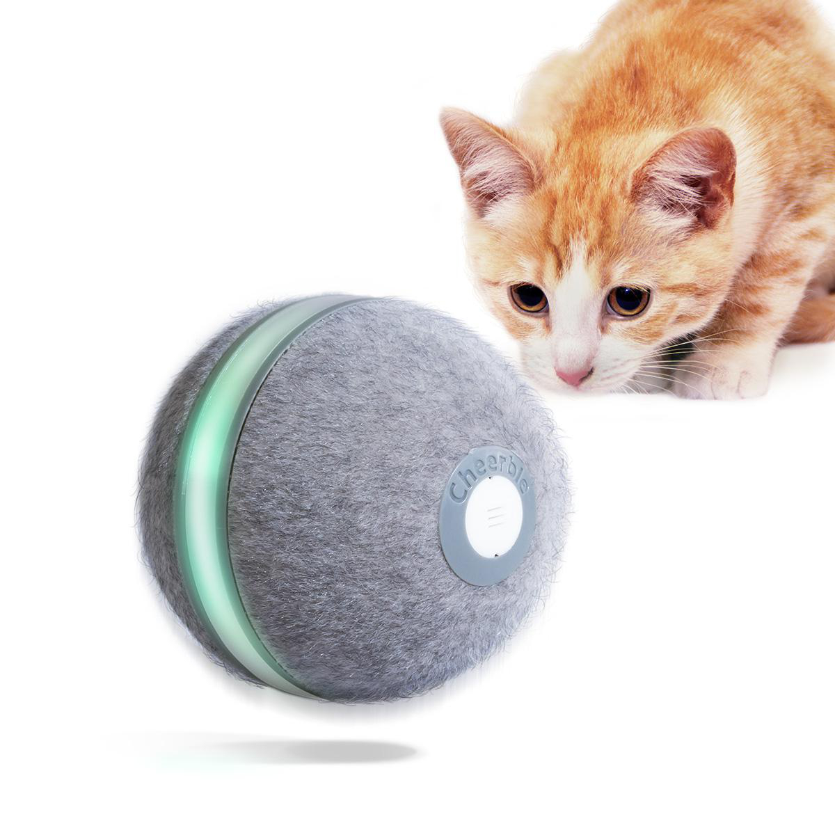 Orange Katze betrachtet grauen Ball mit grünem Streifen.