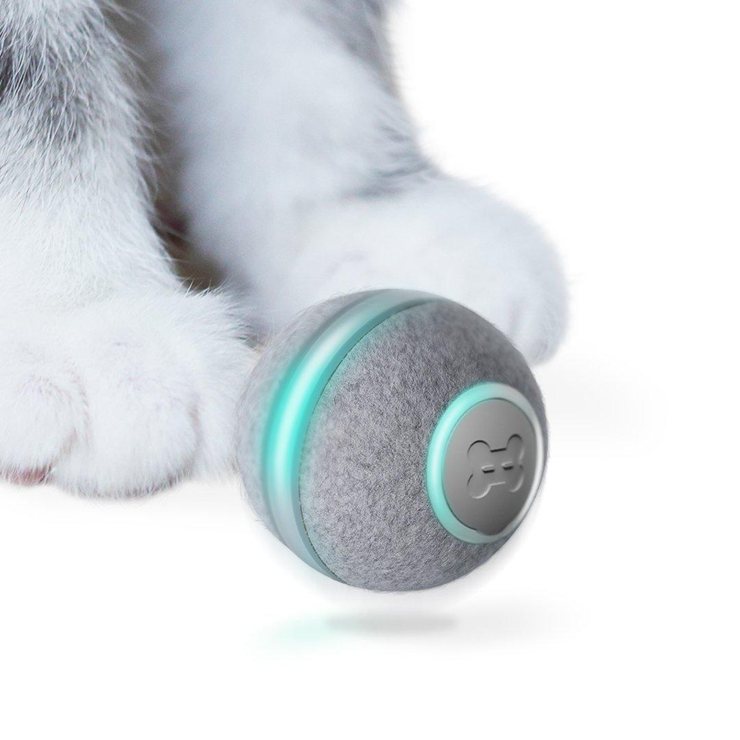 Ein grauer Katzenspielzeugball mit tealfarbenem Licht, in der Nähe der Pfoten einer Katze, auf weißem Hintergrund.