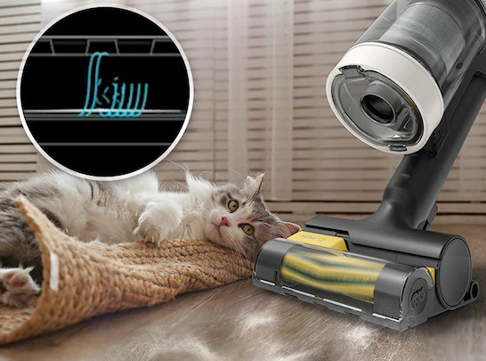 Kot leży na dywanie, a odkurzacz Samsung sprząta w pobliżu.