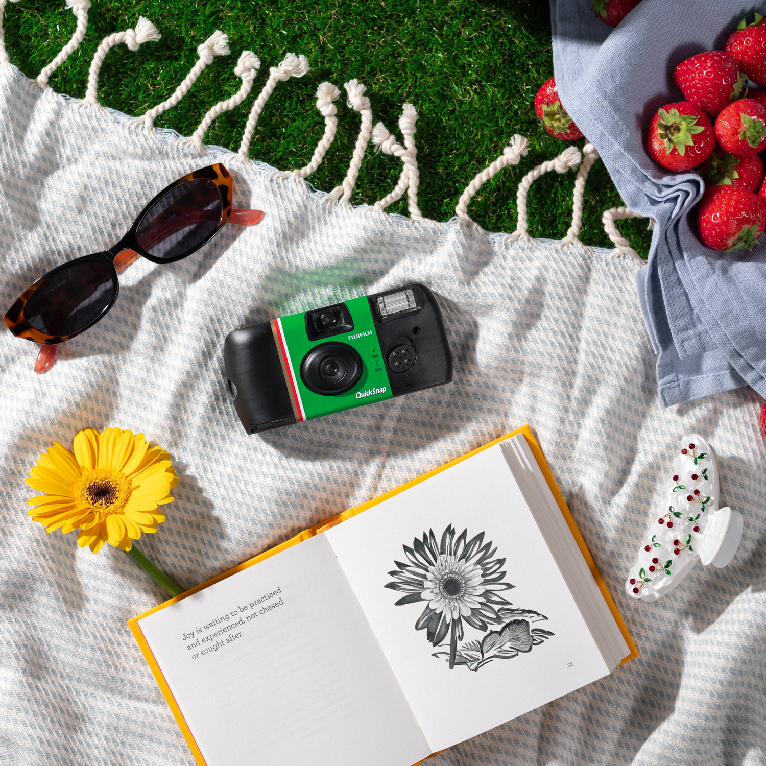 Appareil photo QuickSnap, lunettes de soleil, livre, fleur et fraises sur une couverture de pique-nique.