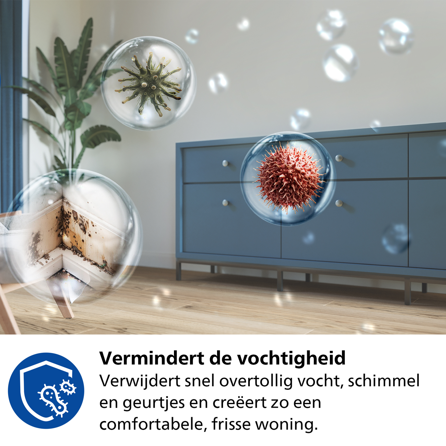 Philips air purifier, removing mold and germs from the air.