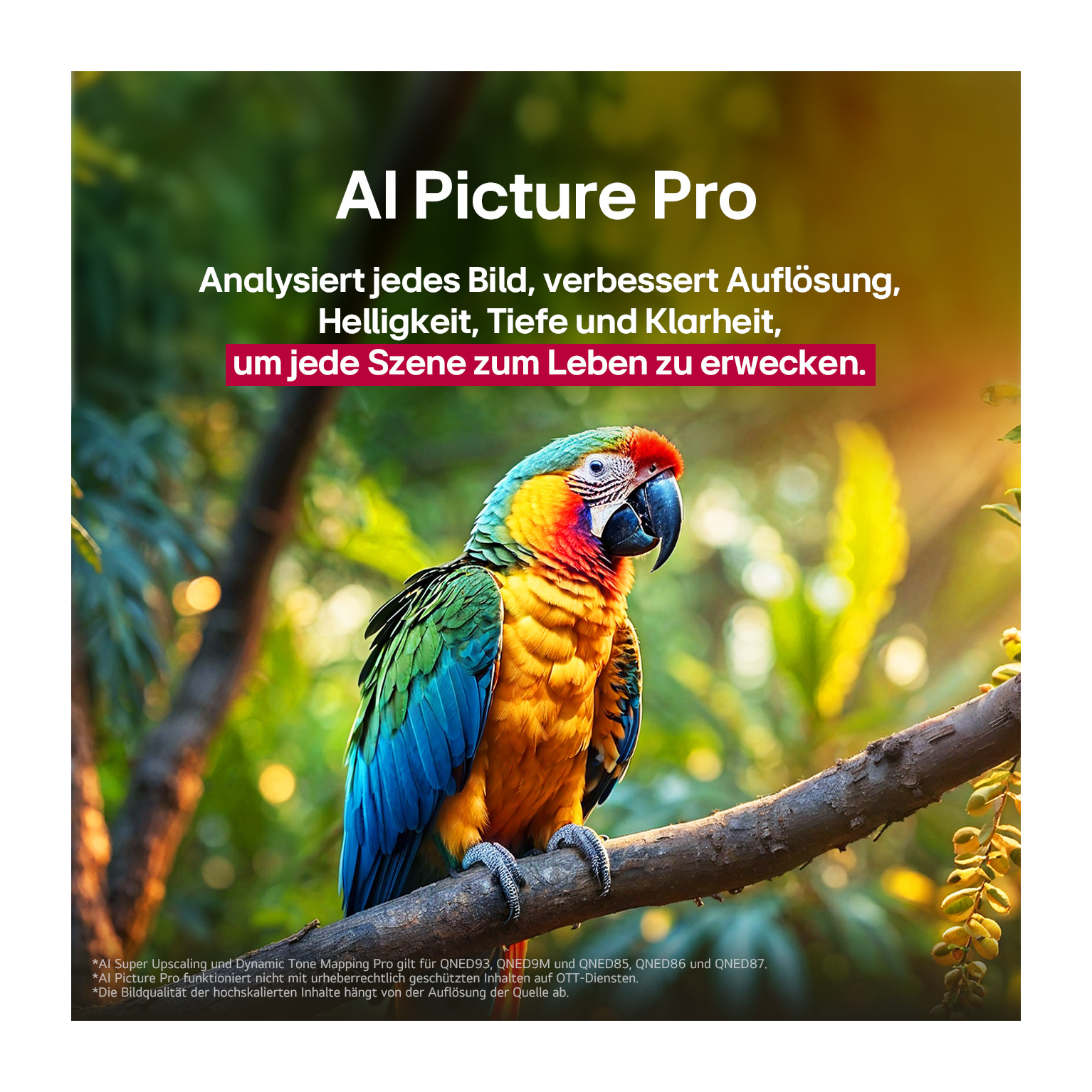 Ein farbenfroher Papagei auf einem Ast, mit Text, der die AI Picture Pro-Funktionen beschreibt.