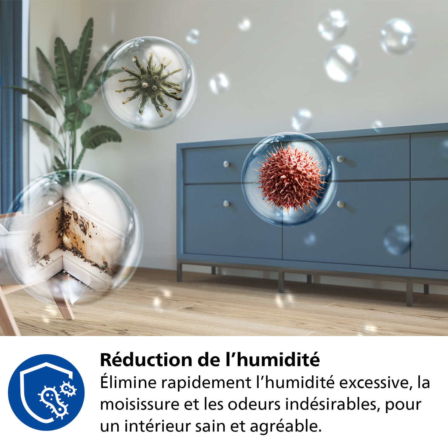Image montrant l'élimination des moisissures et la purification de l'air.