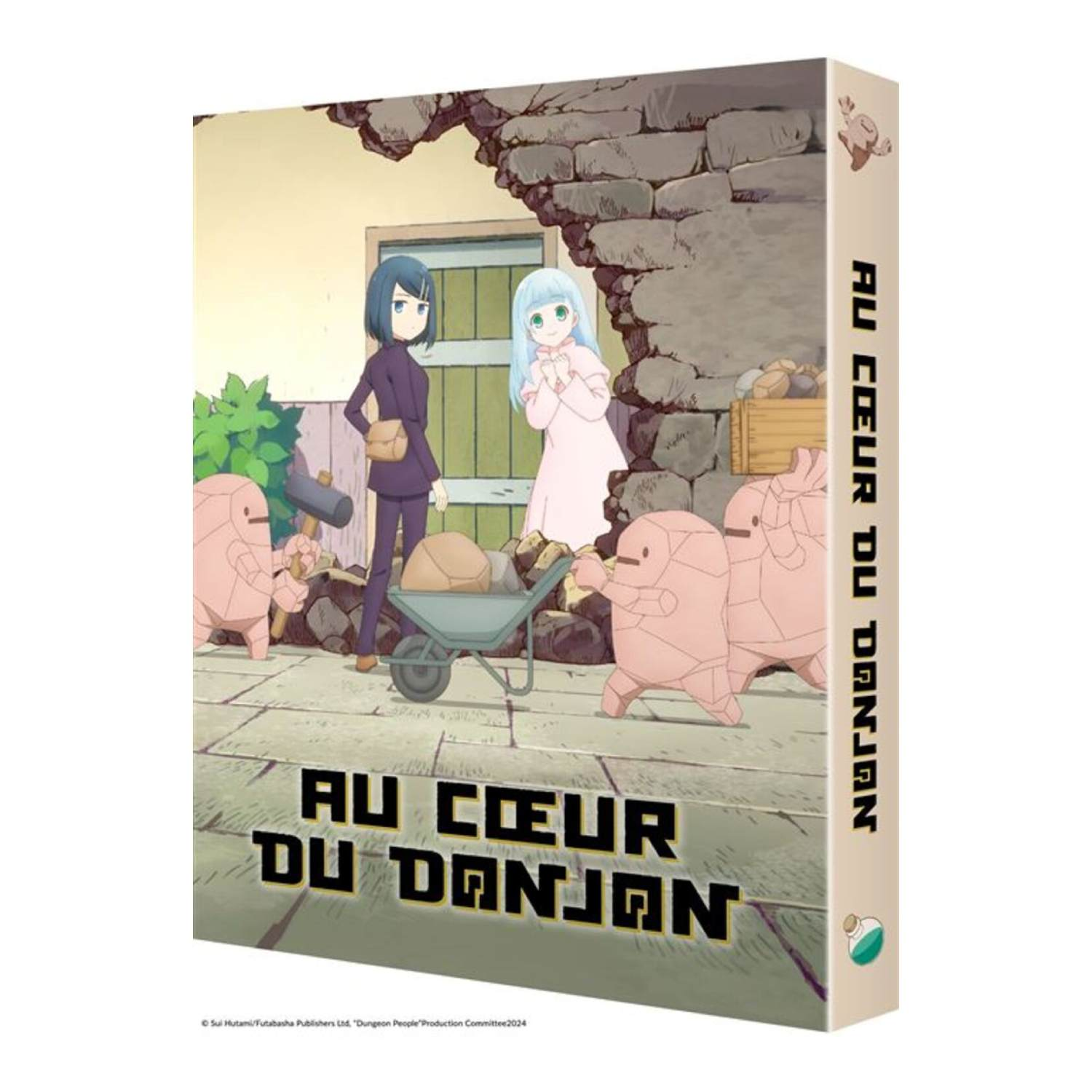 DVD-hoes met anime-personages. Titel is "Au coeur du Donjon". Personages buiten een gebouw.