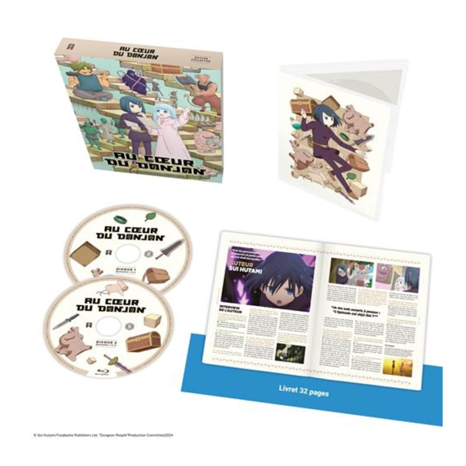 Au Coeur Du Donjon DVD set. Includes discs, a booklet, and a cover image with cartoon characters.
