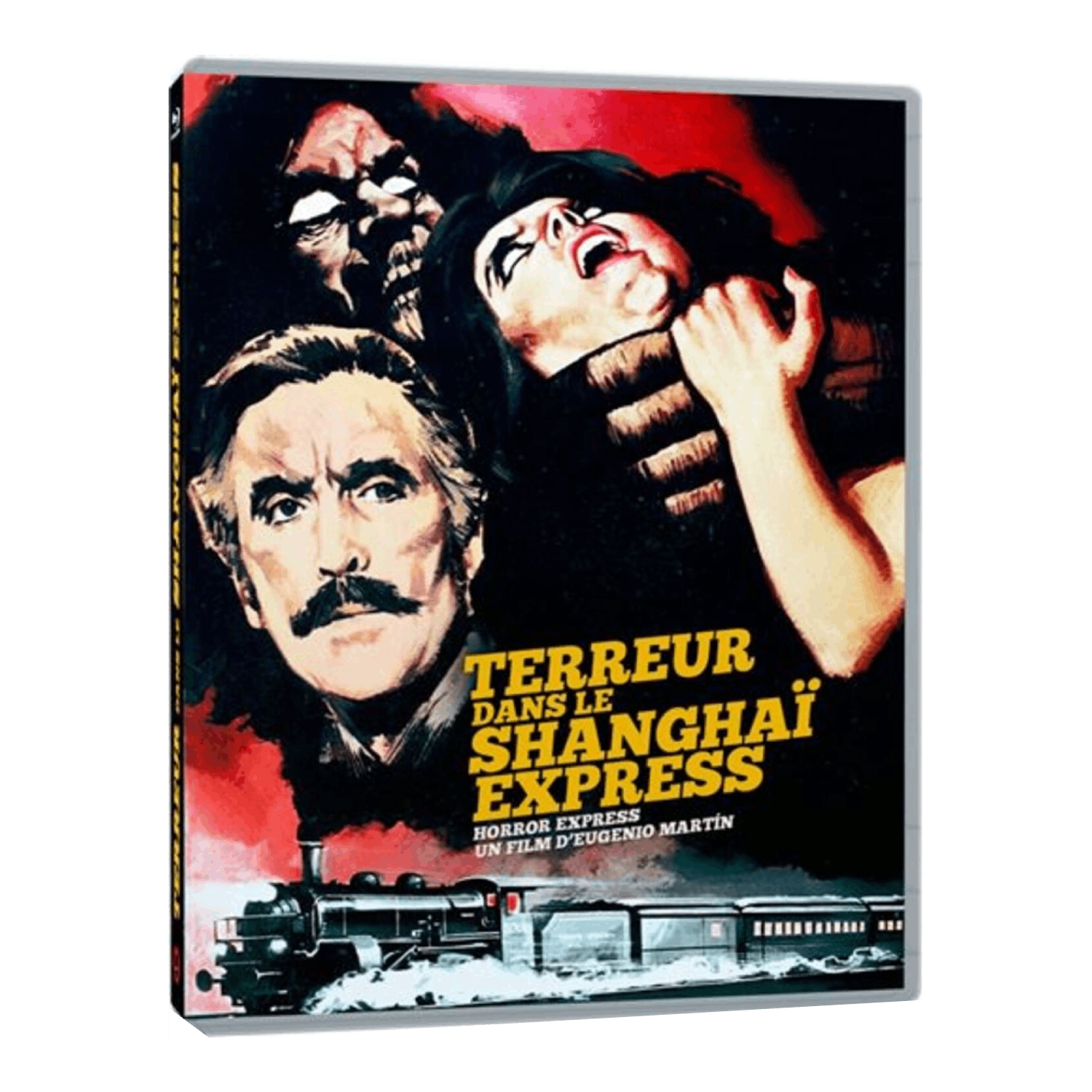 Couverture de film: Visages d'un homme et d'une femme, un train, et le titre en français.
