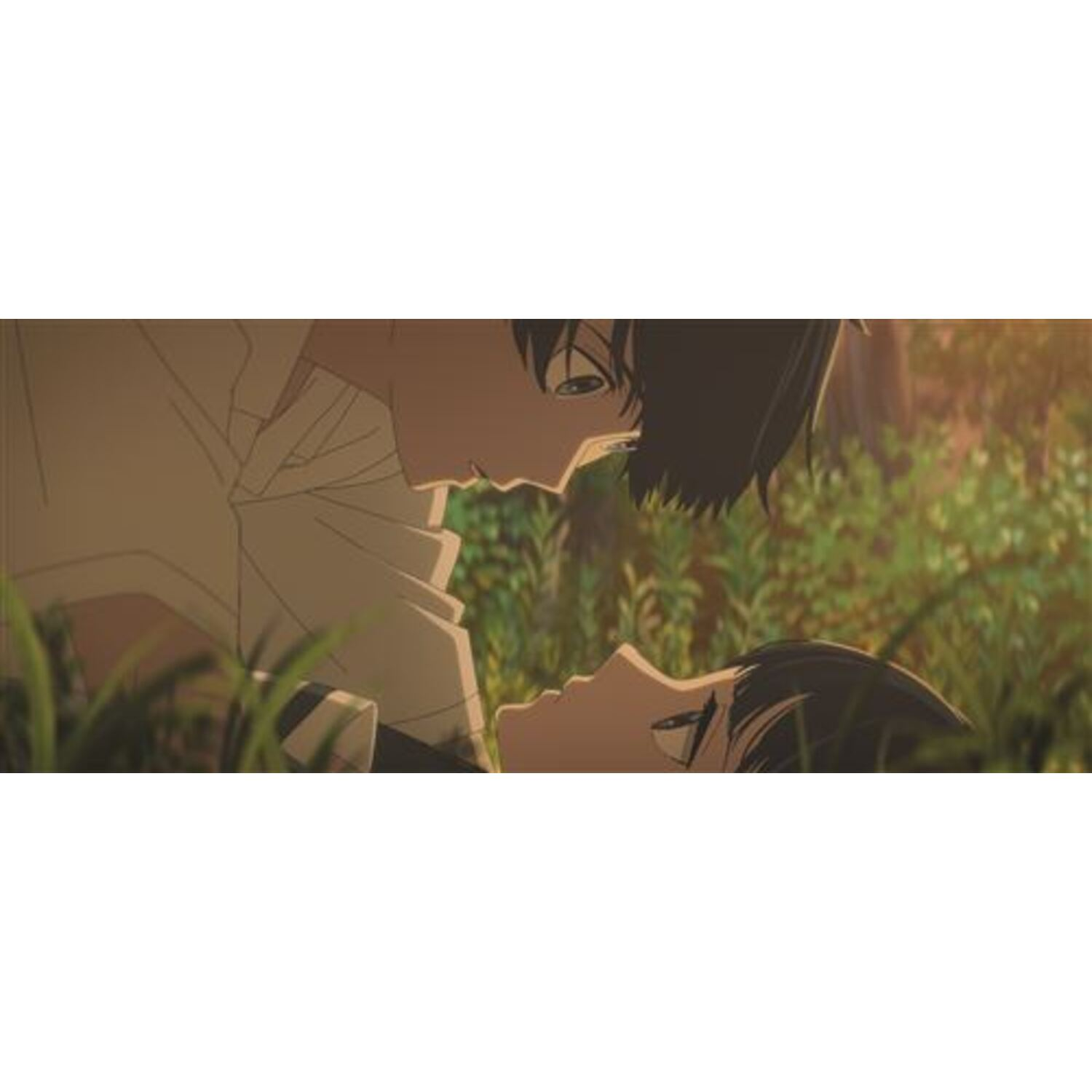 Animescène: een jongen boven een meisje in het gras, close-up van hun gezichten.