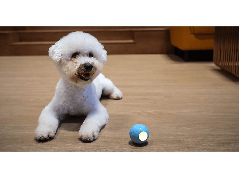 Cheerble Wicked Ball SE, Blau, Tierspielzeug — Foto 3 von 3