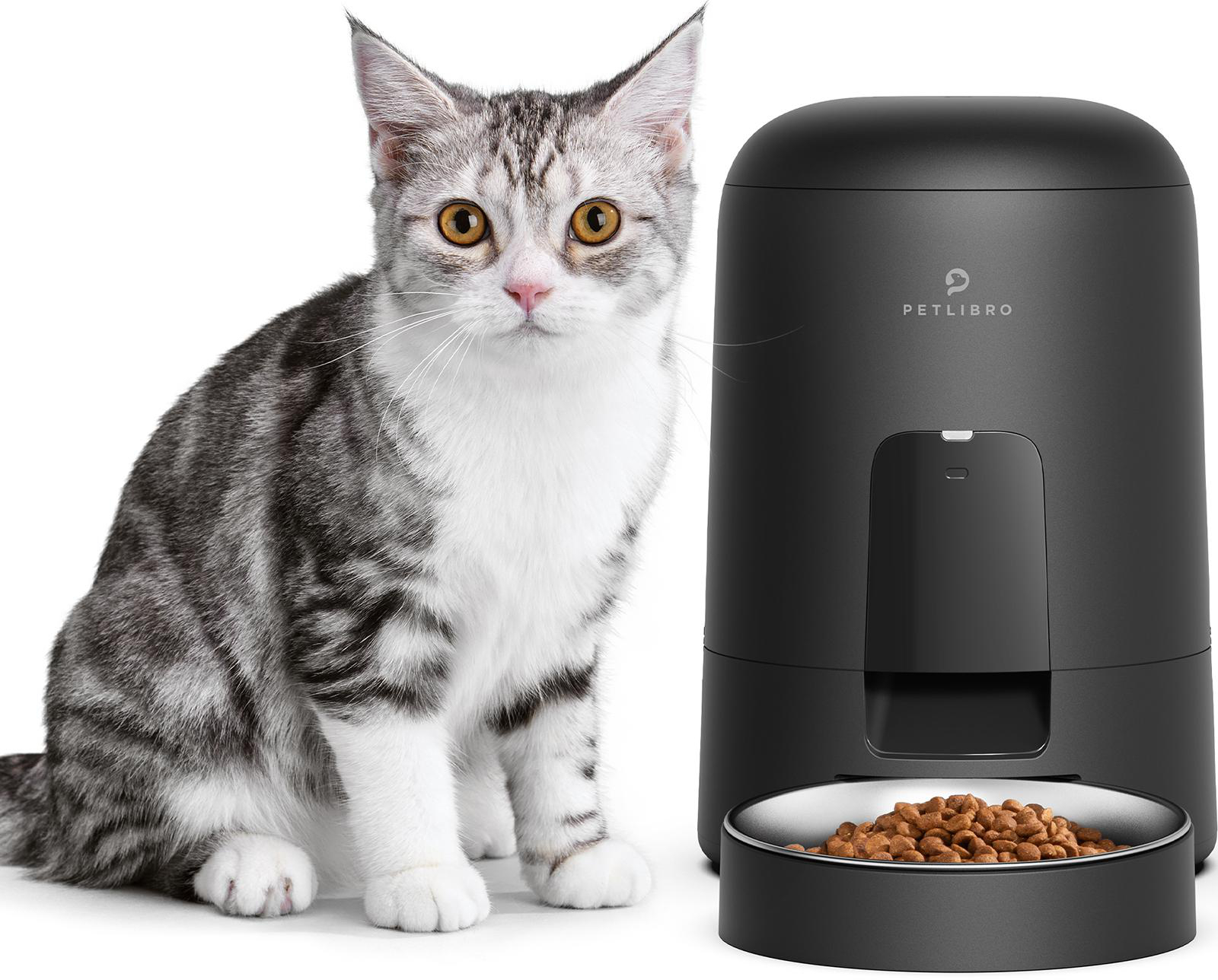 Graue Tabby-Katze sitzt neben einem schwarzen Petlibro-Futterautomaten mit Futter. Weißer Hintergrund.