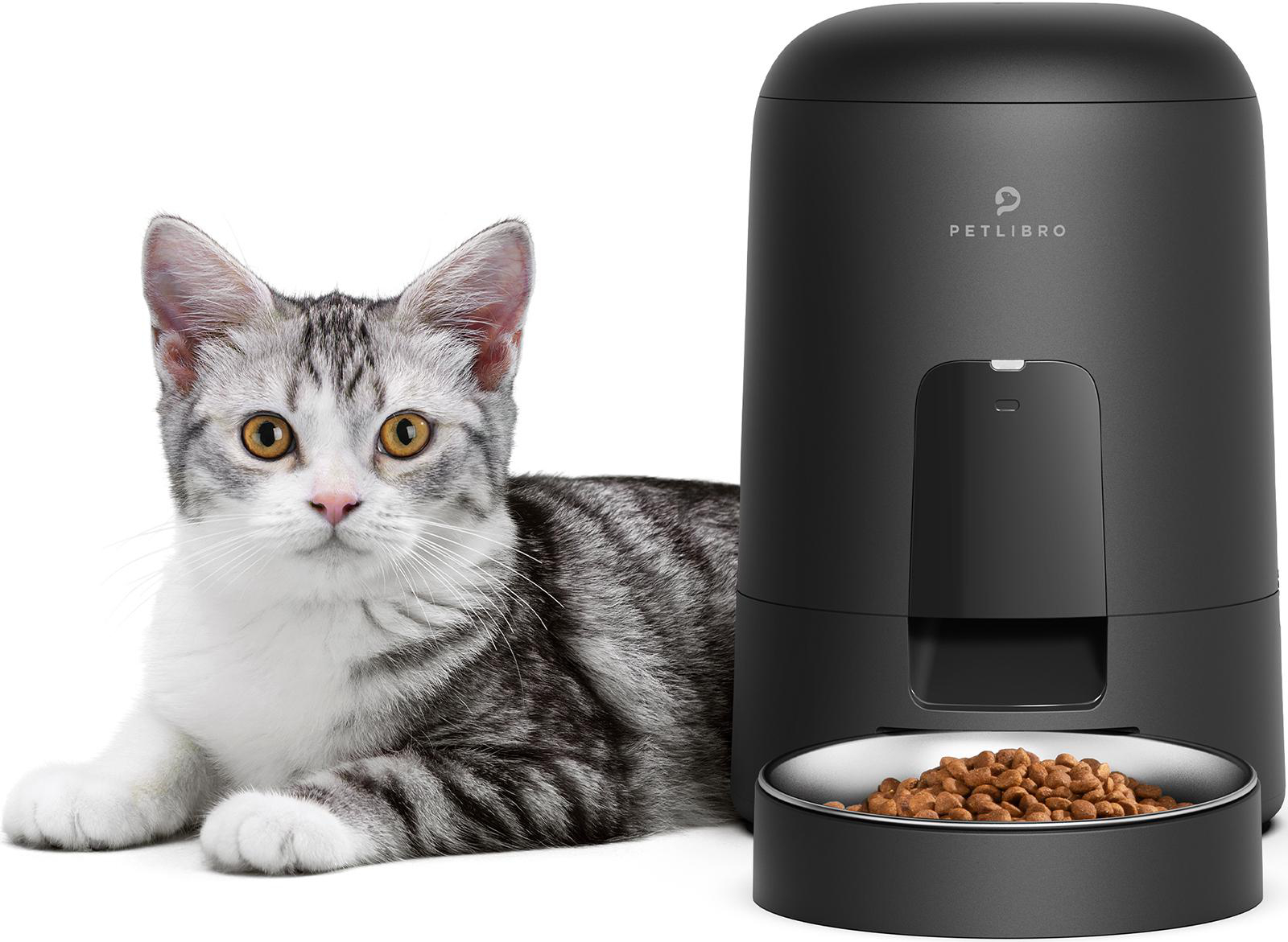 Graue Tabby-Katze liegt neben einem schwarzen Petlibro-Futterautomaten mit Futter. Weißer Hintergrund.