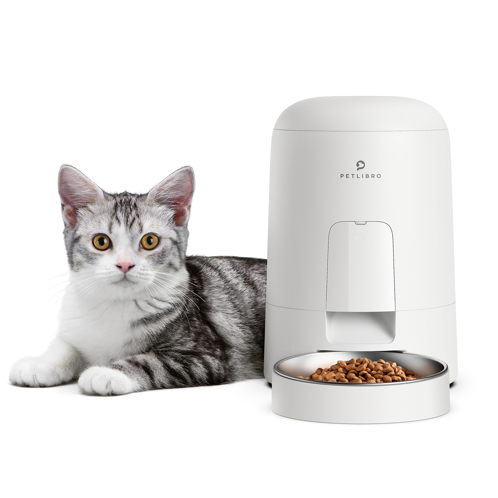 Eine Katze liegt neben einem weißen Haustierfutterspender. Er hat eine Schüssel mit Futter.