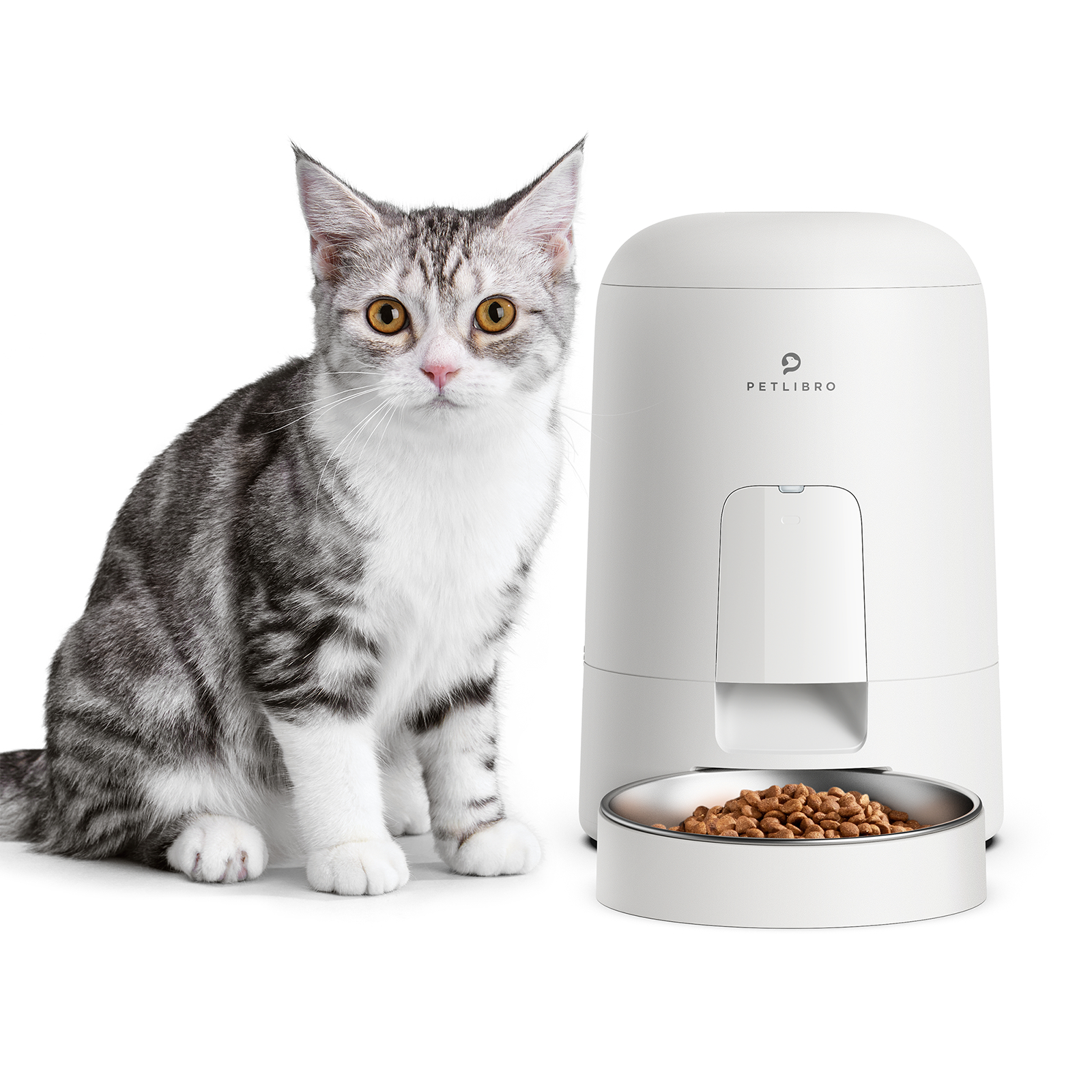 Eine Katze sitzt neben einem weißen Haustierfutterautomaten und schaut in die Kamera.