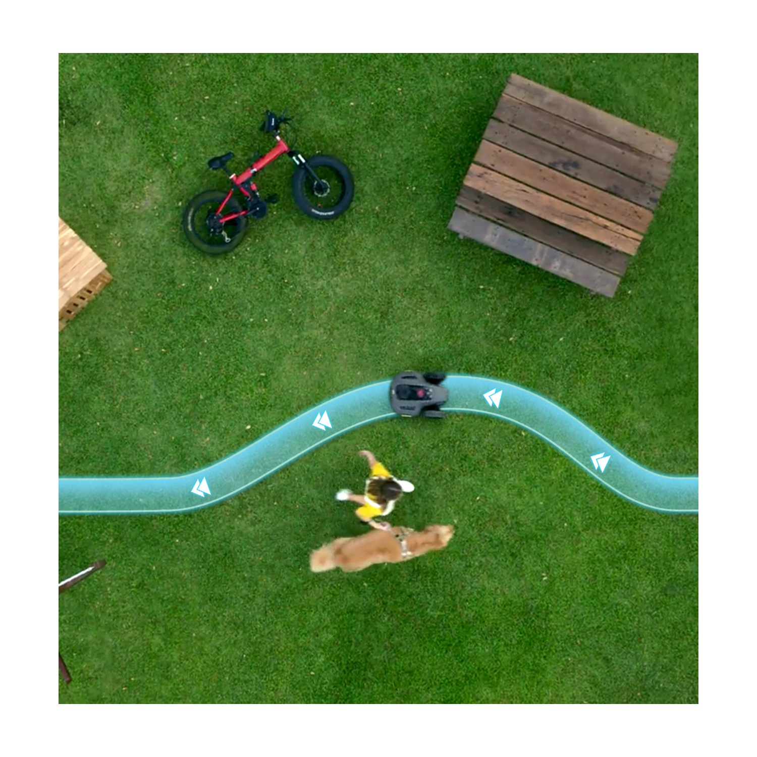 Vista aerea: persona che porta a spasso il cane, robot tagliaerba, bici rossa, strutture in legno, su erba verde.