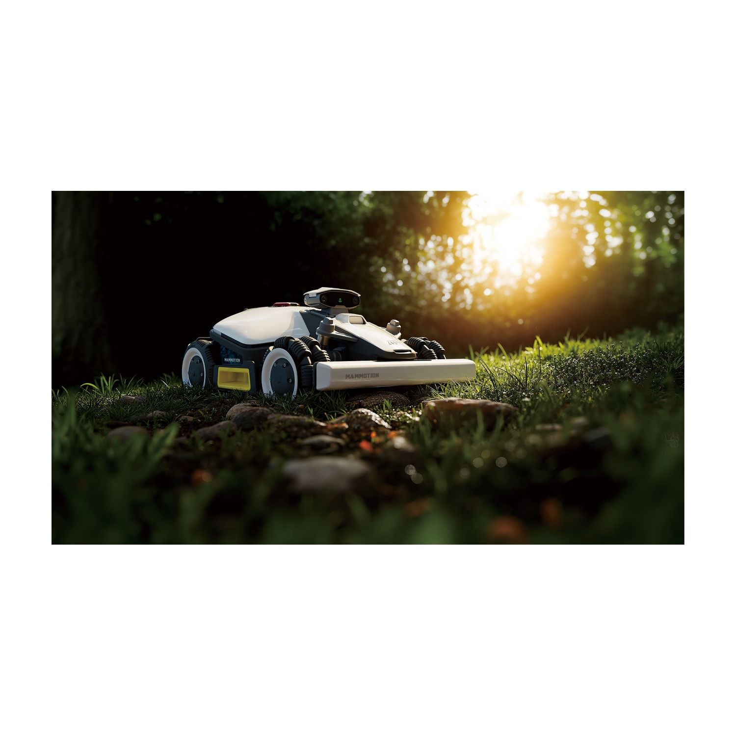 Robot bianco e nero in un ambiente forestale. Il robot ha ruote e una fotocamera. Il sole splende tra gli alberi sullo sfondo.