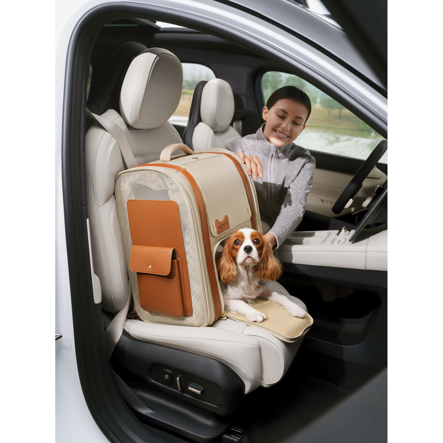 Woman in car with dog in carrier. Dog is a Cavalier King Charles Spaniel. Tan and brown carrier, white car interior.