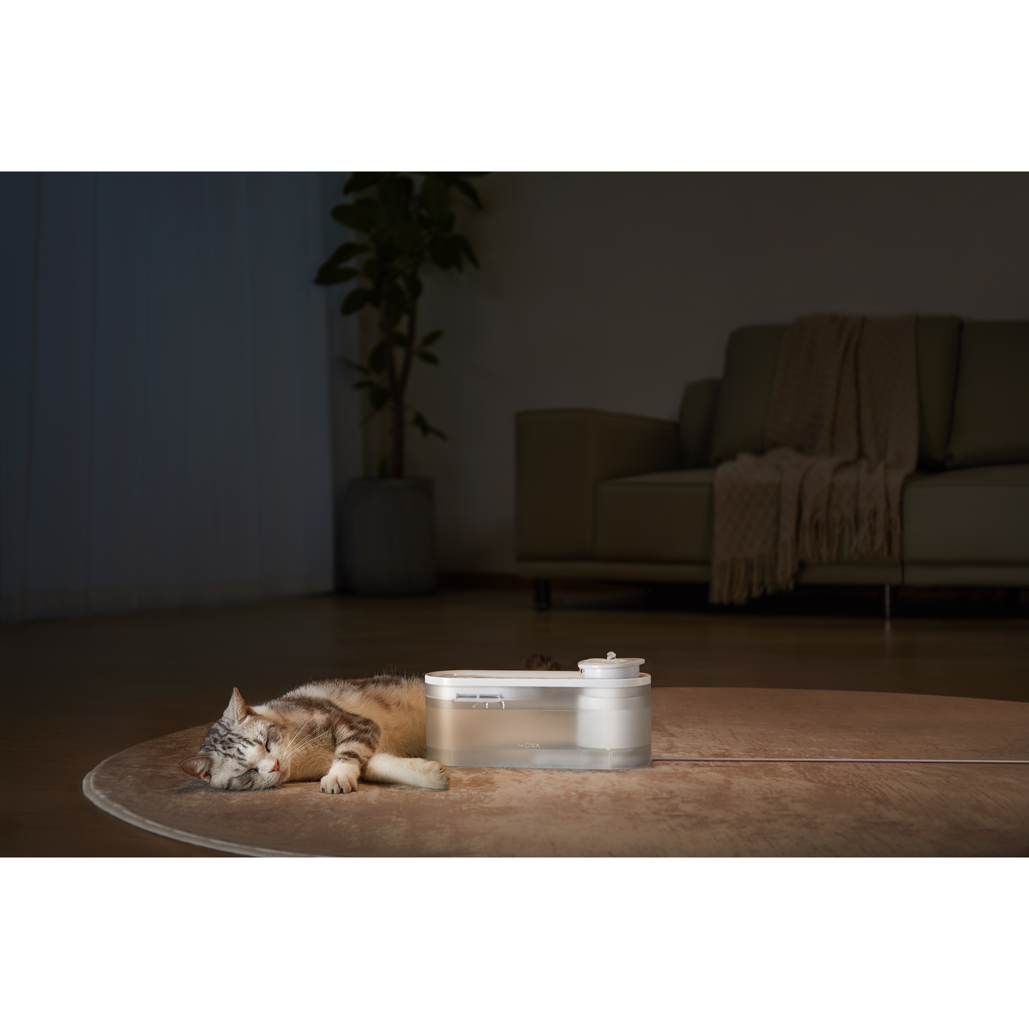 Kat slaapt bij een luchtbevochtiger op een tafel. Achtergrond toont bank en plant.