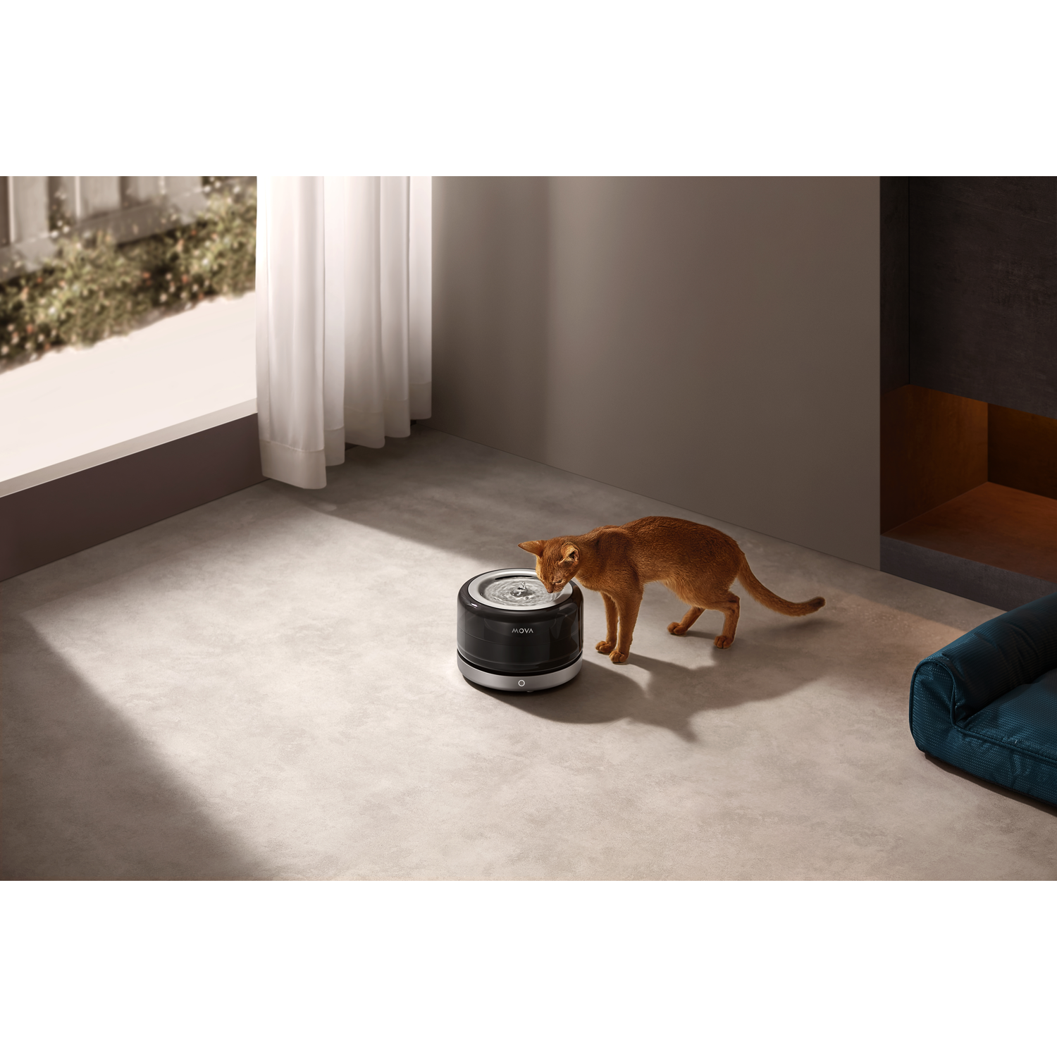 Un chat orange boit à une fontaine à eau noire sur un sol gris. Une fenêtre et un lit bleu sont en arrière-plan.