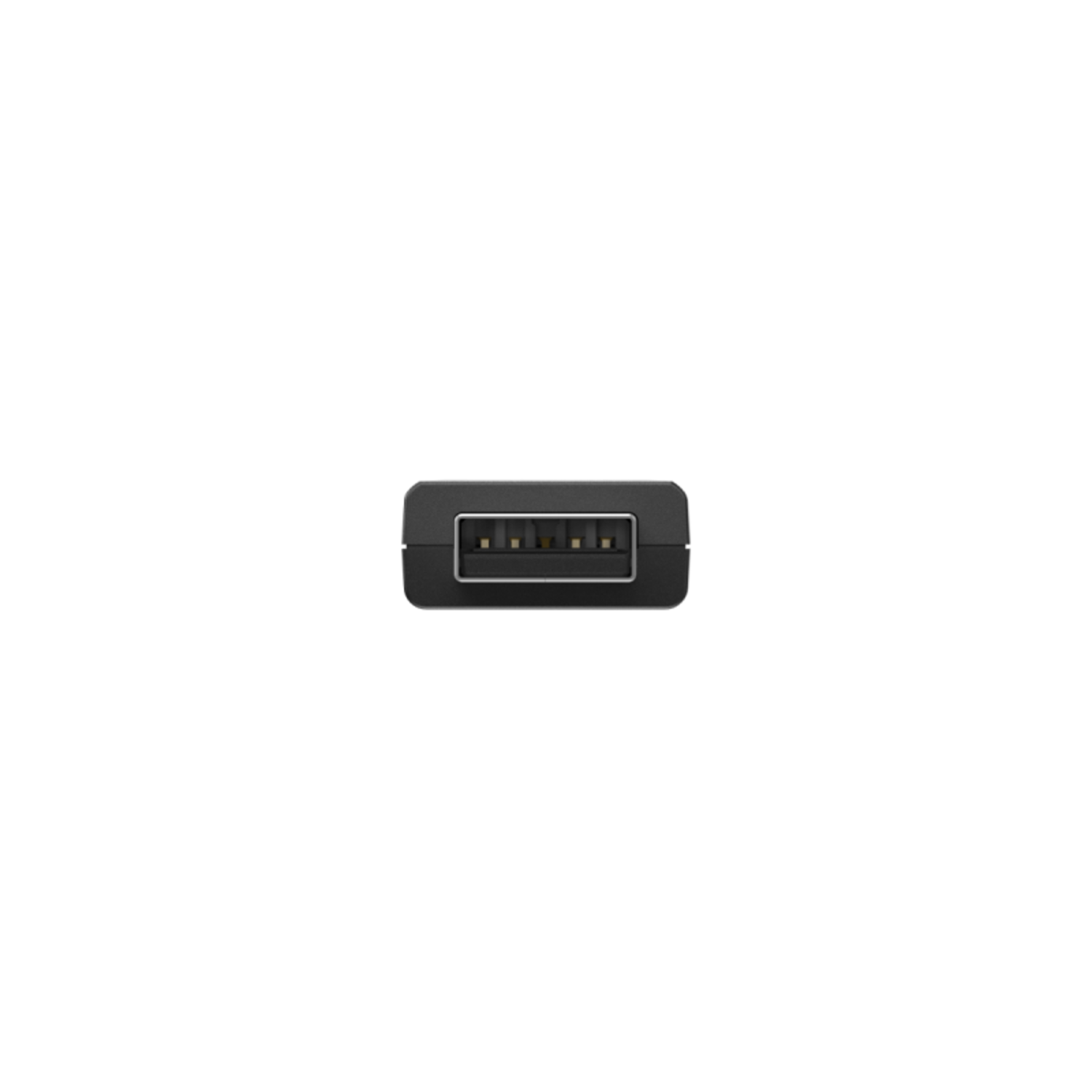 Black USB port on white background. Five pins are visible inside the USB port.