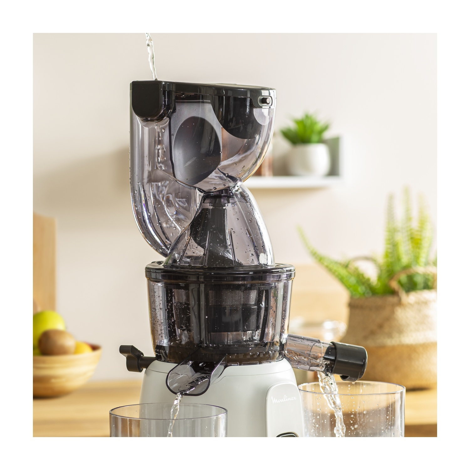 Estrattore di succo con acqua che vi scorre dentro e pianta verde sullo sfondo.