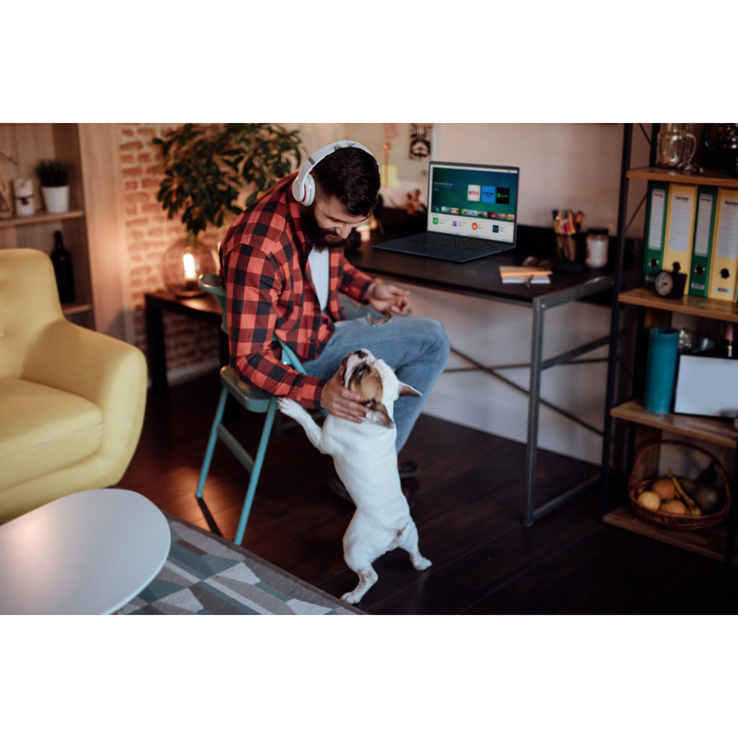 Man with dog using laptop. Laptop open on desk. Headphones on. Happy scene.