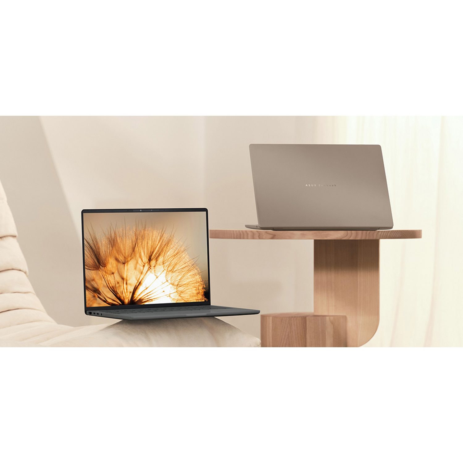 Two gray laptops on a table. One open, one closed. Dandelion. Beige background.