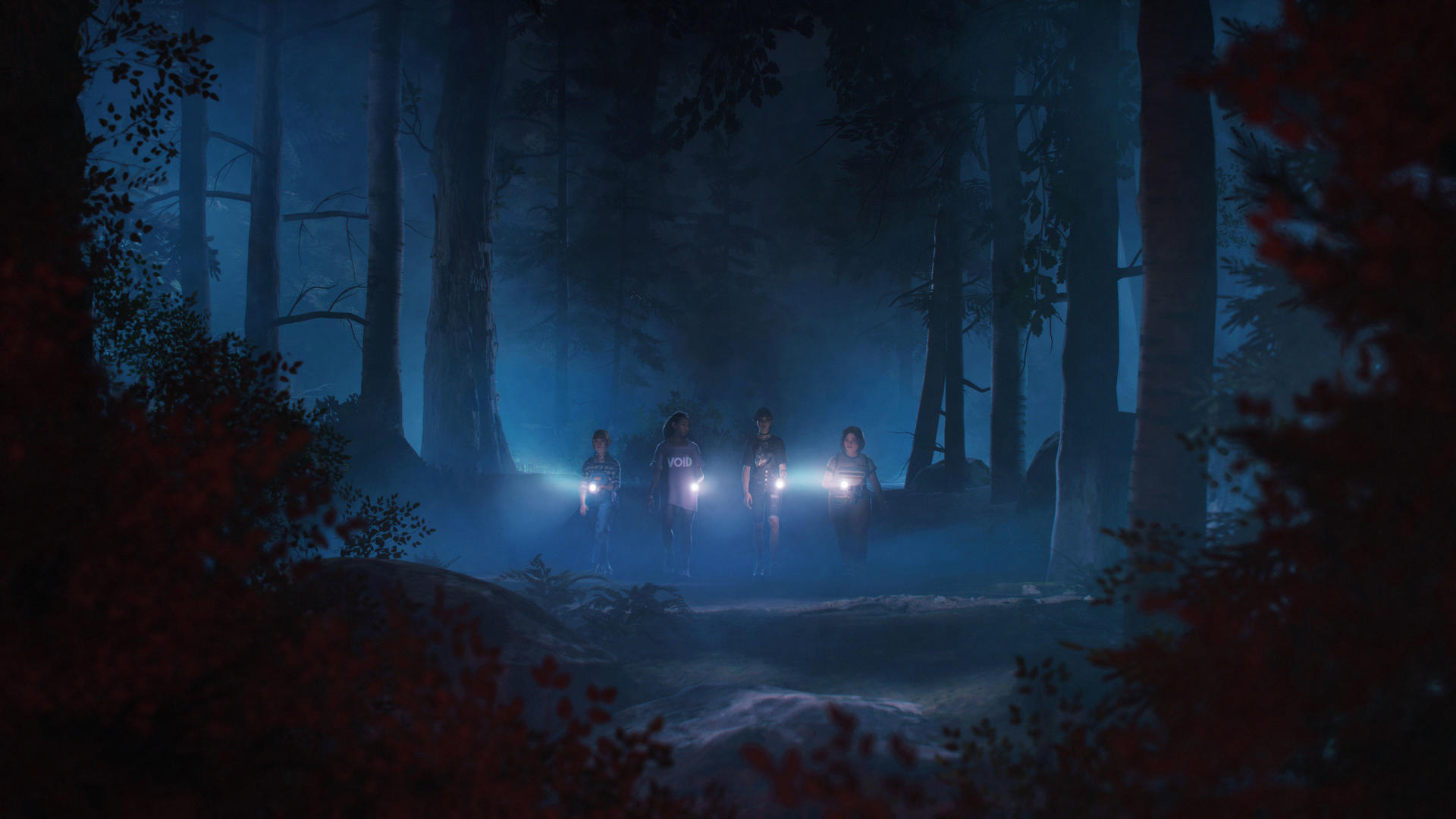 Vier Personen mit Taschenlampen gehen durch einen dunklen Wald. Bäume umgeben sie, mit blauem Licht im Hintergrund, was eine mysteriöse Atmosphäre schafft.