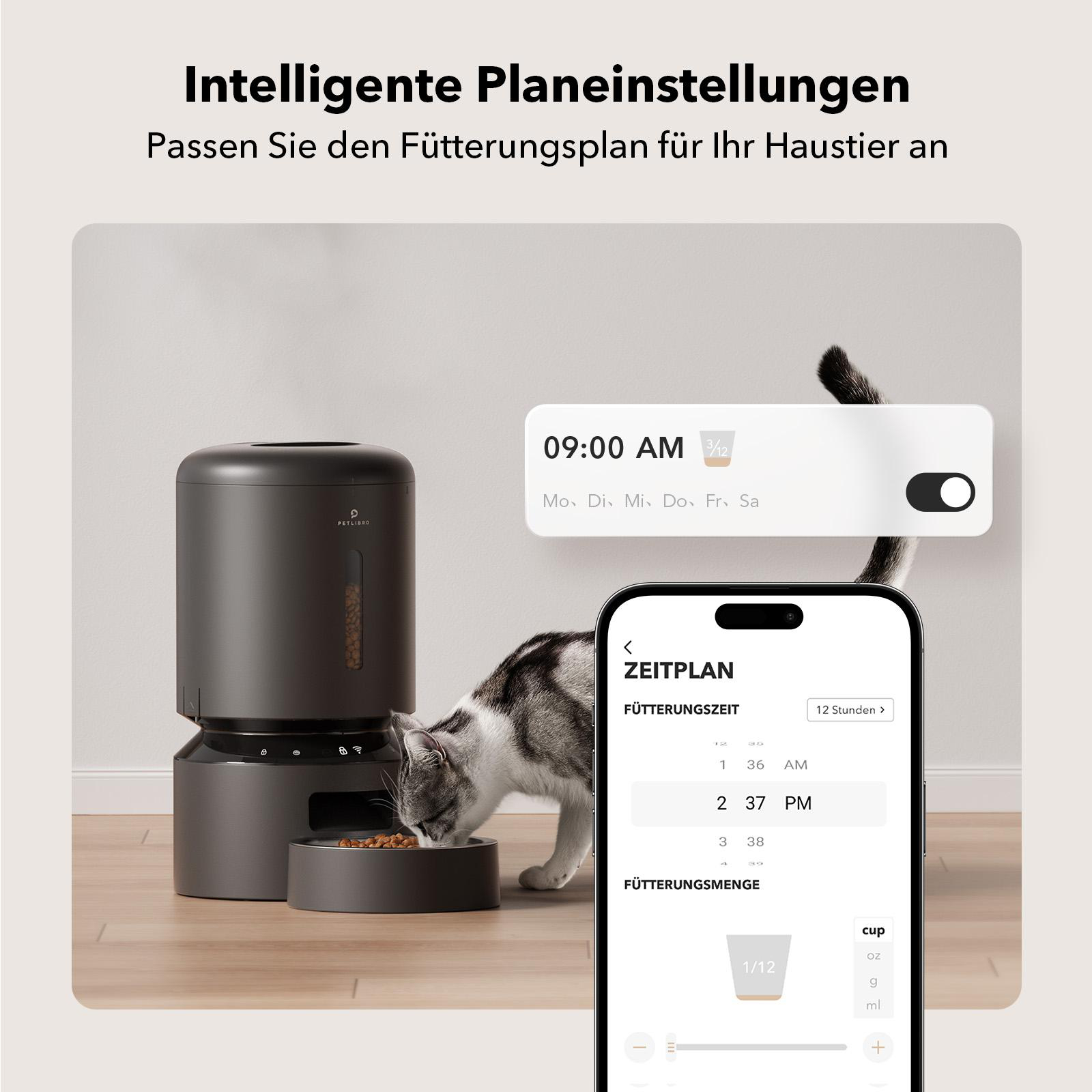 Eine Katze frisst aus einer Schüssel. Ein intelligenter Futterautomat und ein Telefon mit Fütterungsplan im Hintergrund.