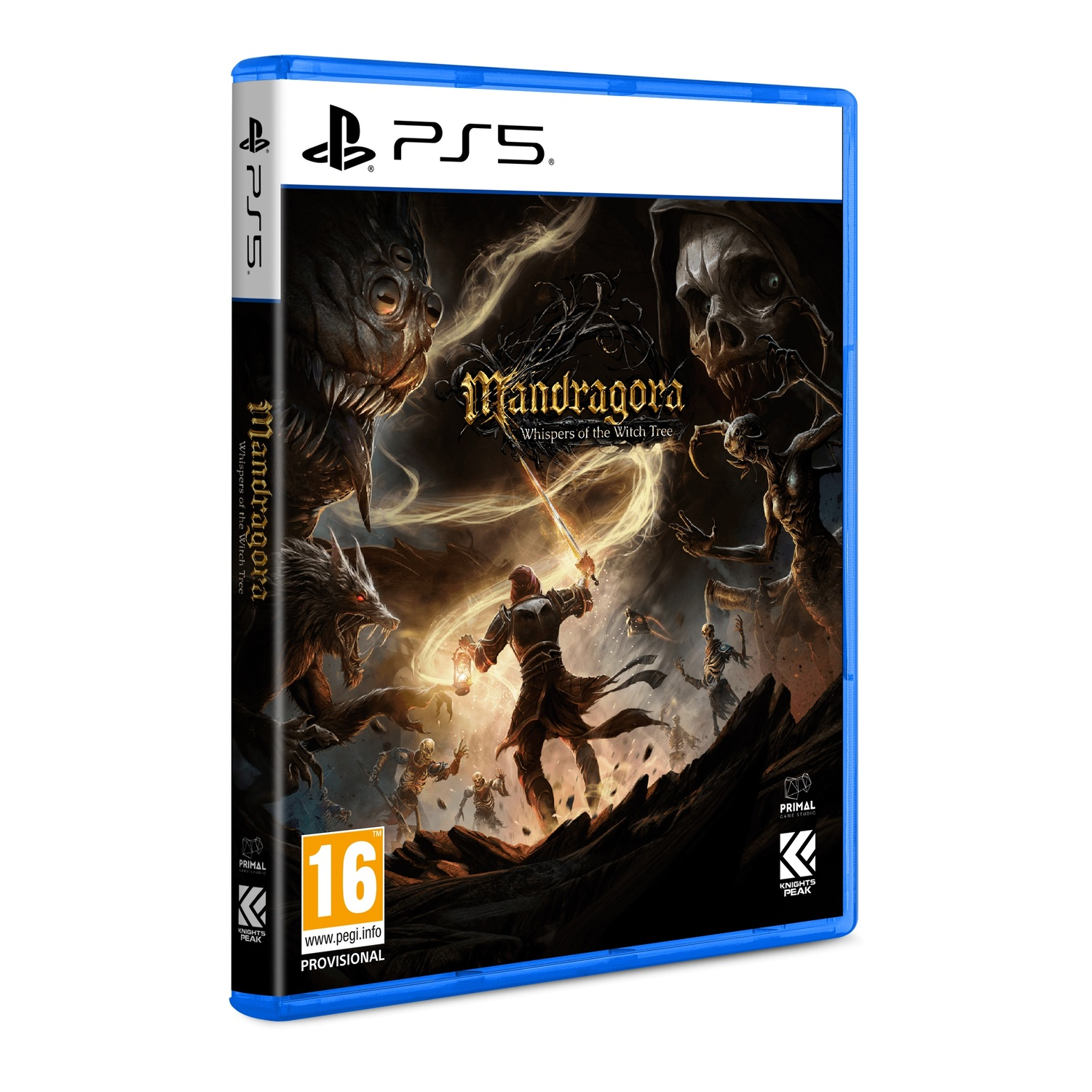 Game cover met een personage dat een zwaard zwaait tegen monsters en de titel van het spel.