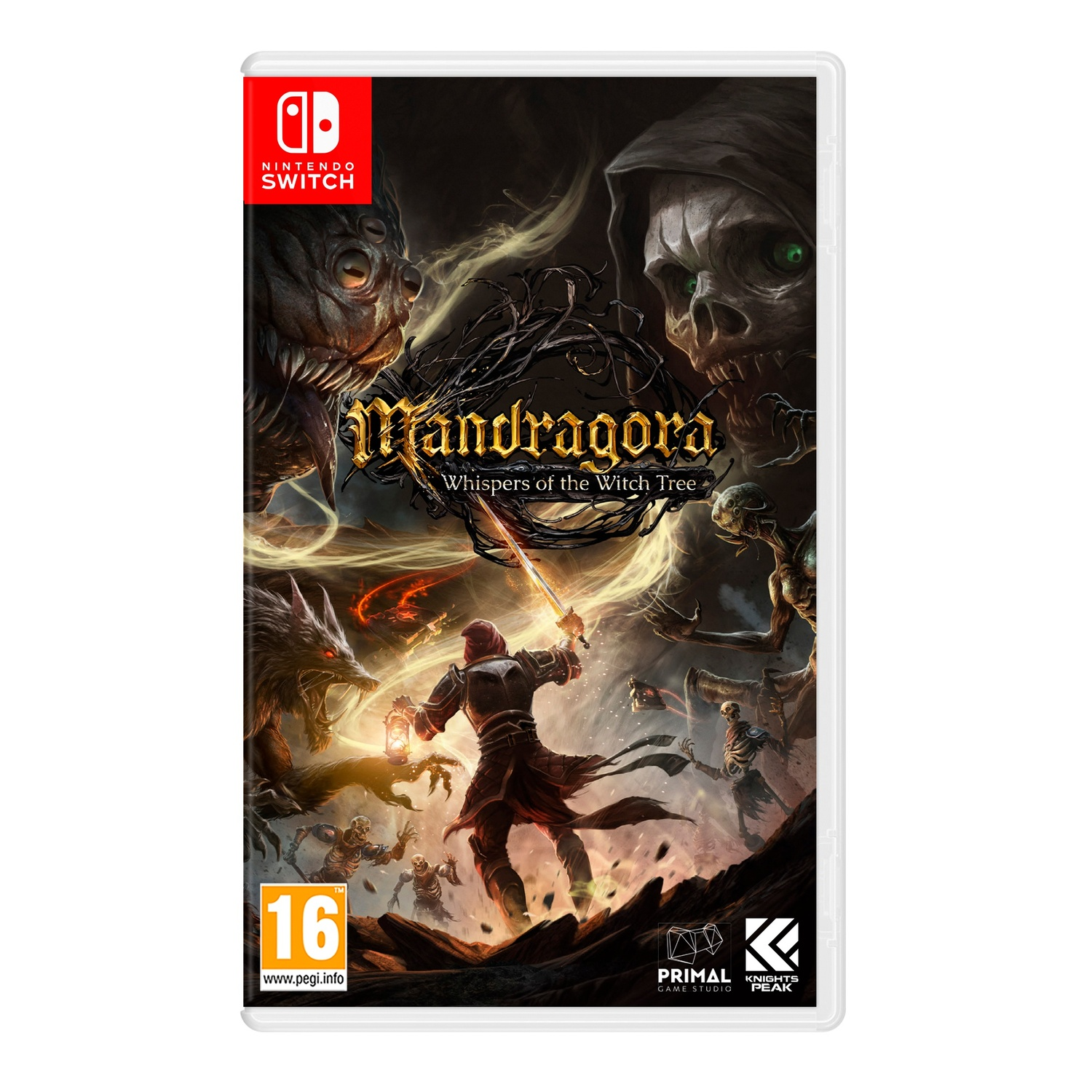 Gamebox art. Een figuur vecht tegen monsters, met het logo van de game en een classificatielabel onderaan.