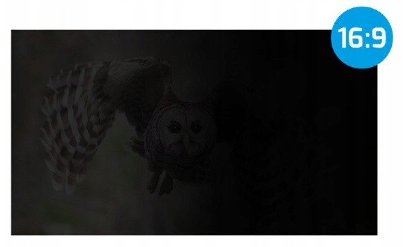 Sowa w locie z proporcjami 16:9, na ciemnym tle.