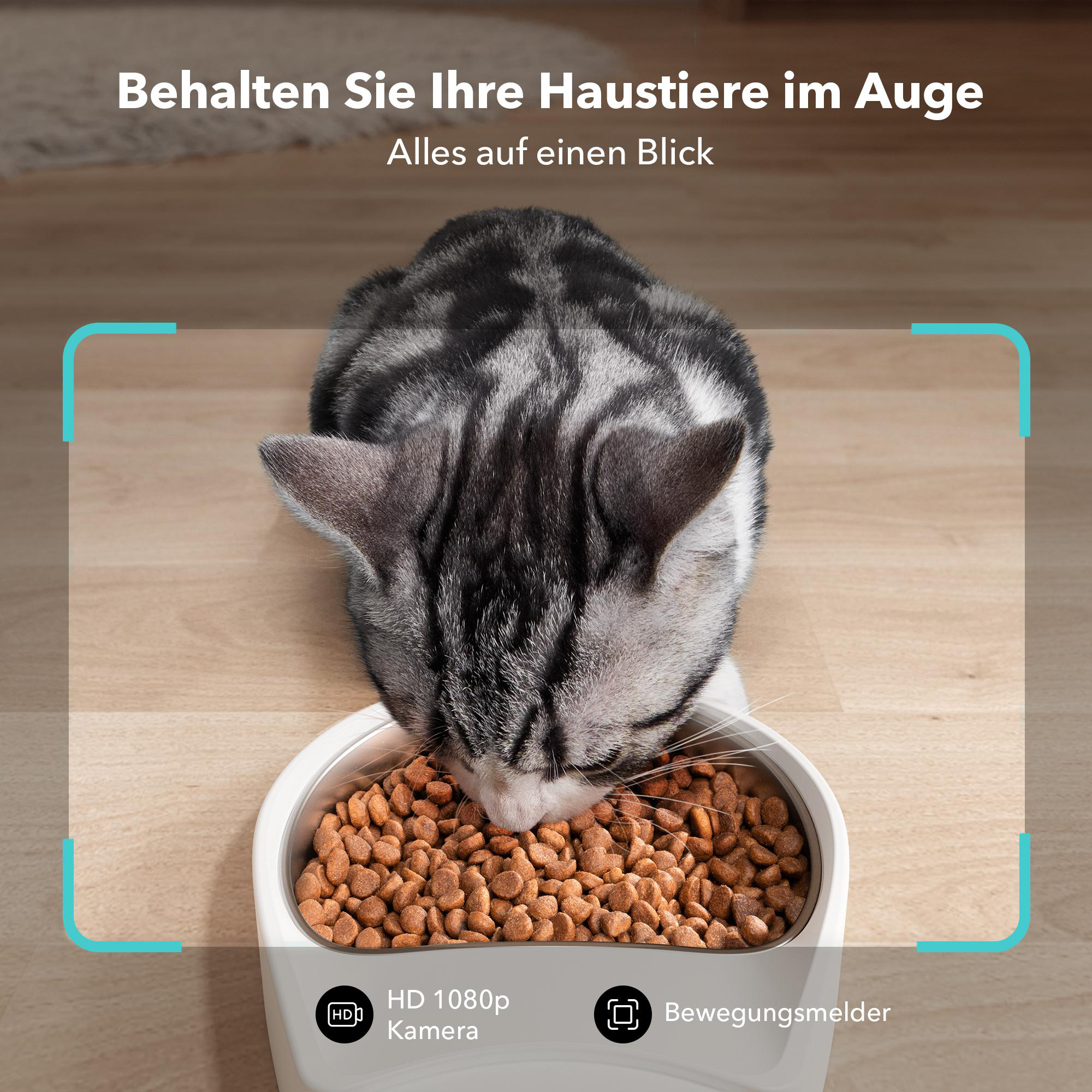 Eine Katze, die Futter aus einer weißen Schüssel isst. Die Katze hat grau-schwarze Streifen auf Holzboden.