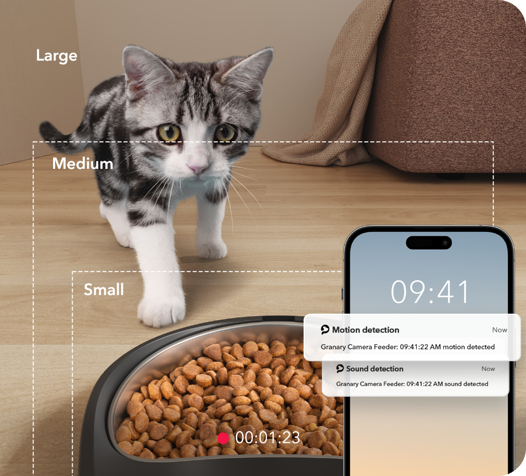 Eine Katze vor einem Futternapf mit einem Telefon, das Bewegungs- und Geräuscherkennung anzeigt.