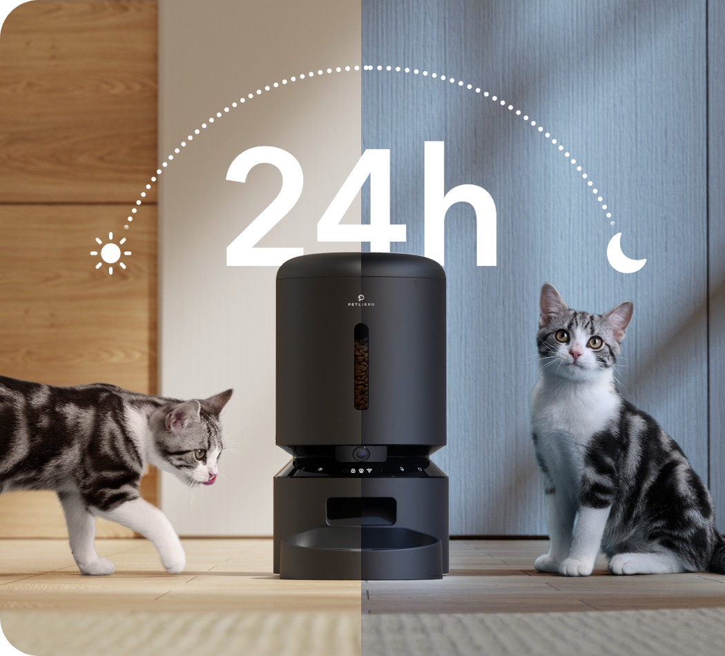 Eine Katze geht auf den Futterautomaten zu, während eine andere wartet. 24h-Symbol wird gezeigt.