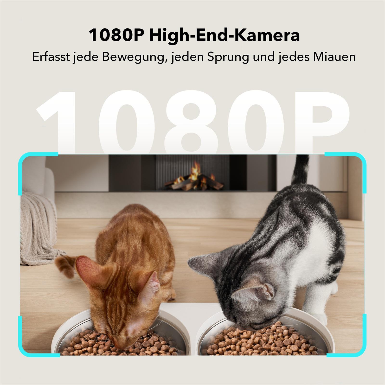 Zwei Katzen essen aus dem Futterautomaten. Die Katzen sind in den Schalen. Kamin im Hintergrund.