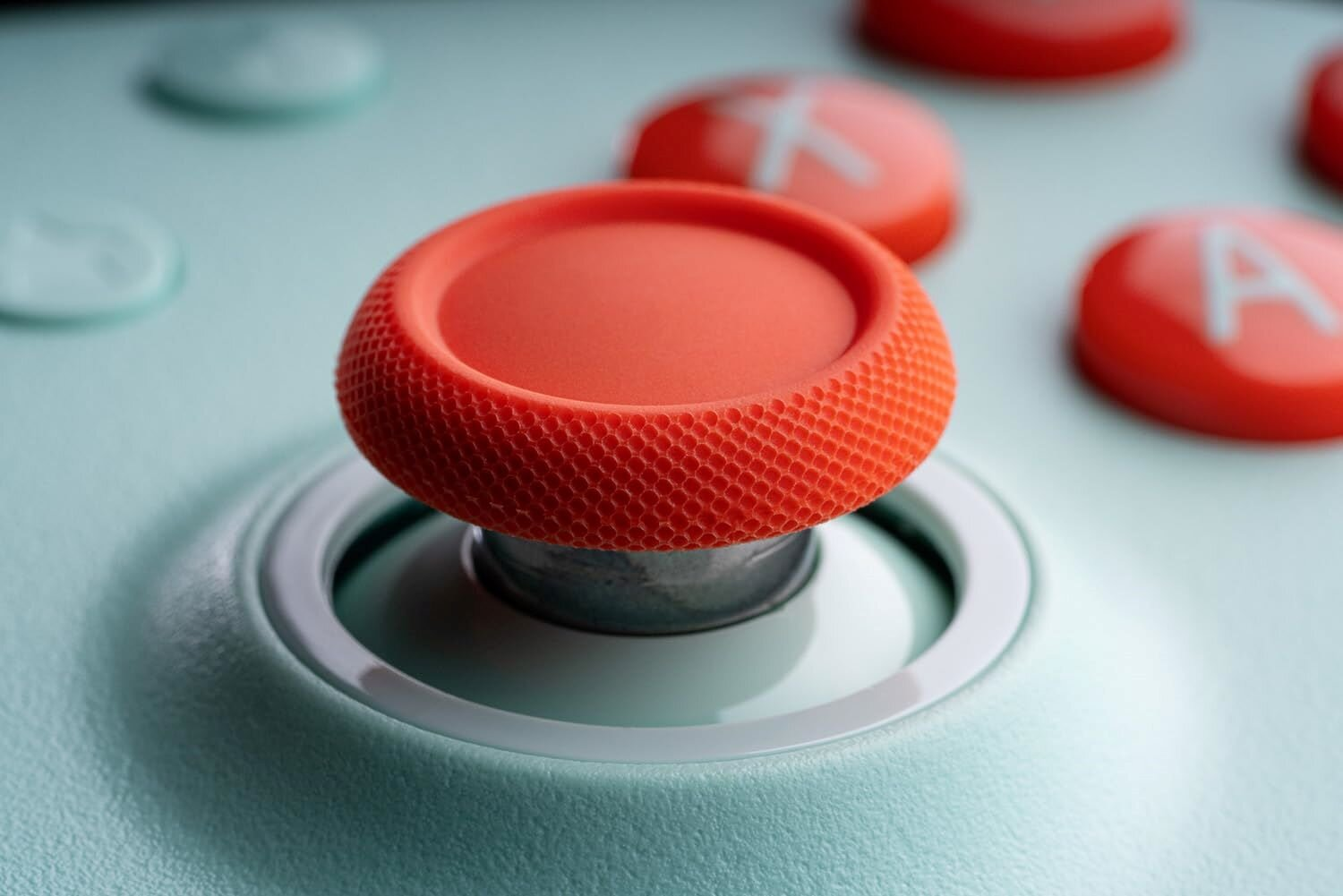 Zbliżenie koralowego joysticka. Biały pierścień wokół. Miętowe tło.