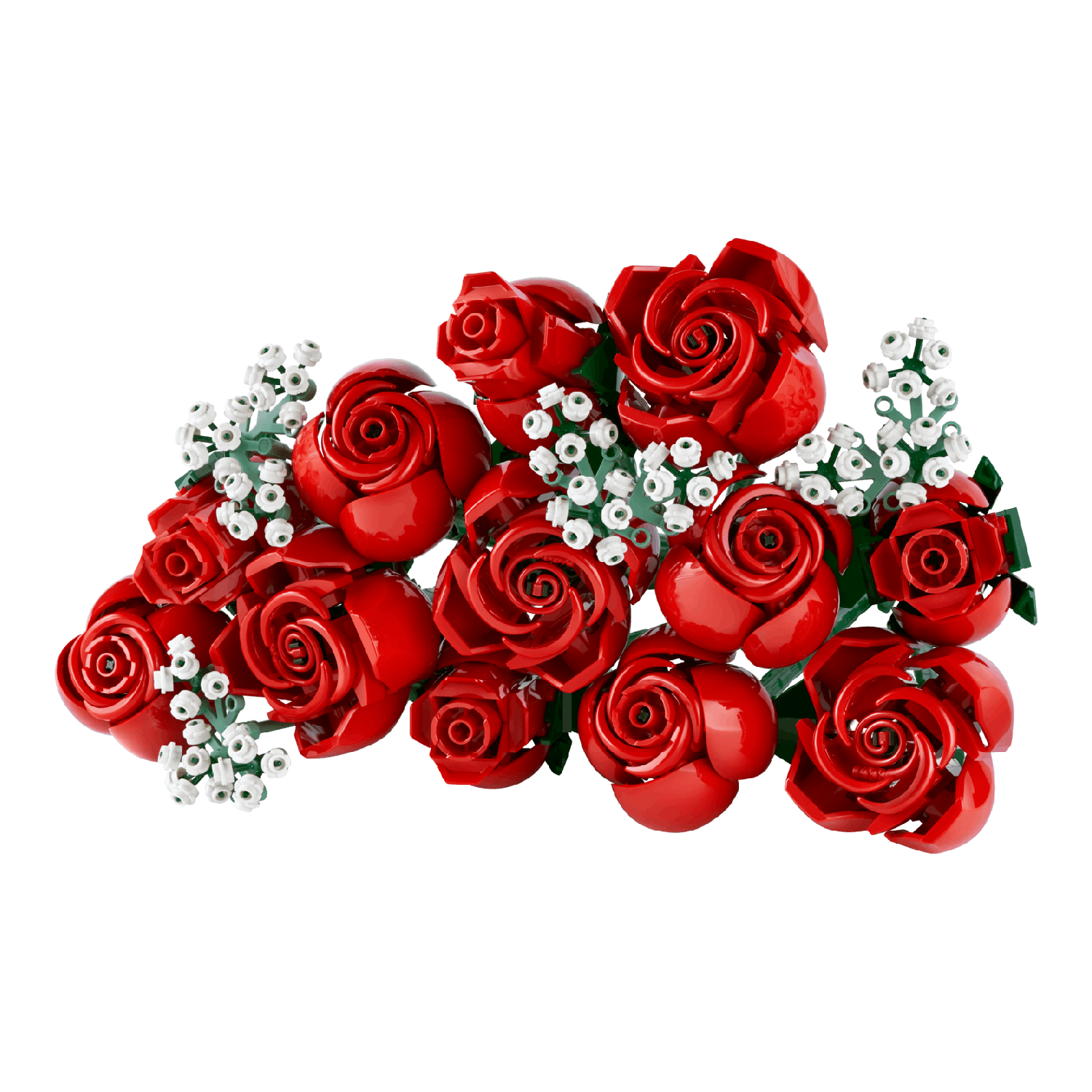 Rode rozen van baksteen en witte gipskruid. Zwarte achtergrond. Een boeket bloemen.