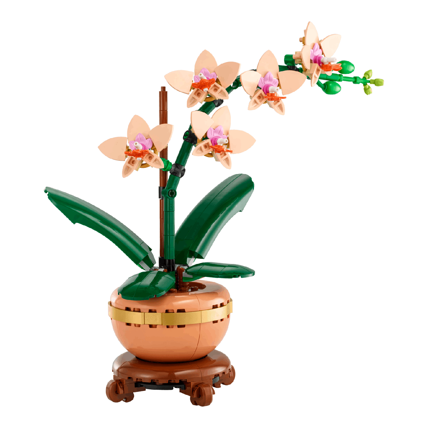 Lego Botanical Collection 10343 Miniorchidee Bouwstenen