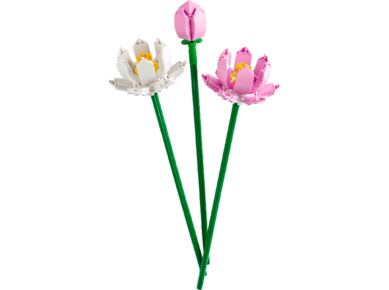 Lego Botanical Collection 40647 Lotusbloemen Bouwstenen afbeelding