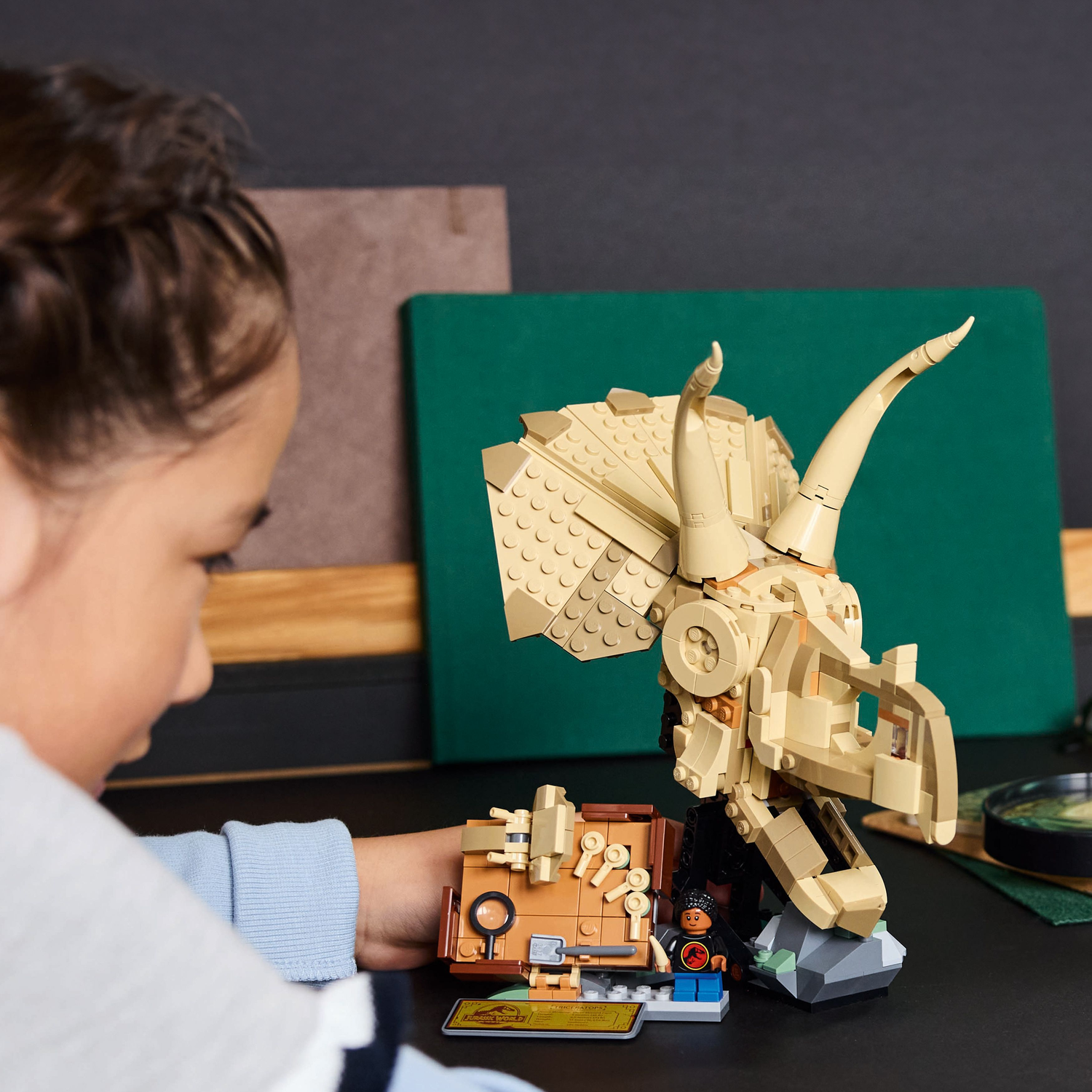 A child looks at a Lego Triceratops skull model on a desk with a green board.