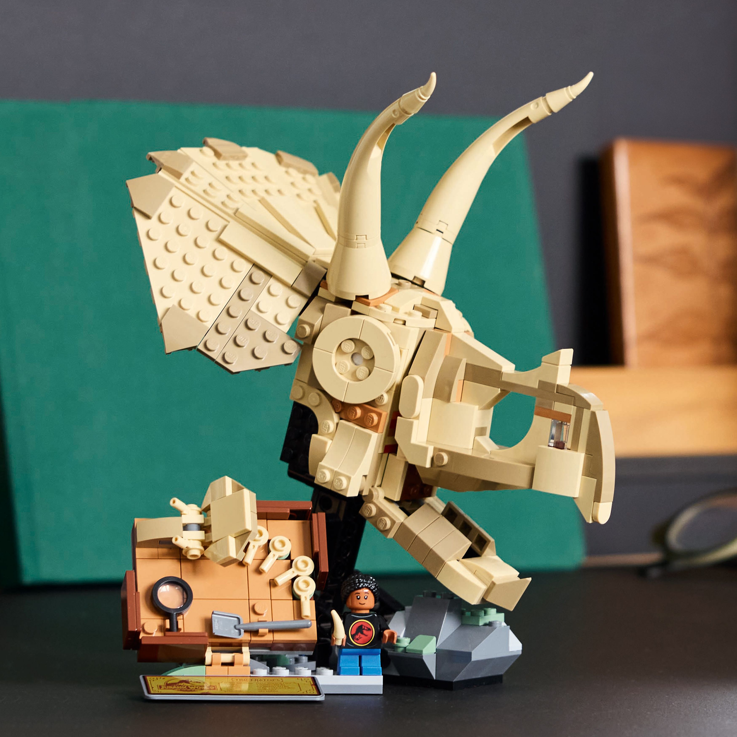 A Lego Triceratops skull model sits on a desk with a green board in the background.