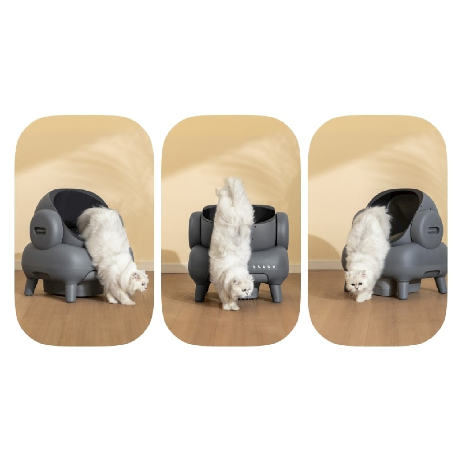 Gatto bianco che usa e interagisce con una lettiera automatica in tre fotogrammi sequenziali.