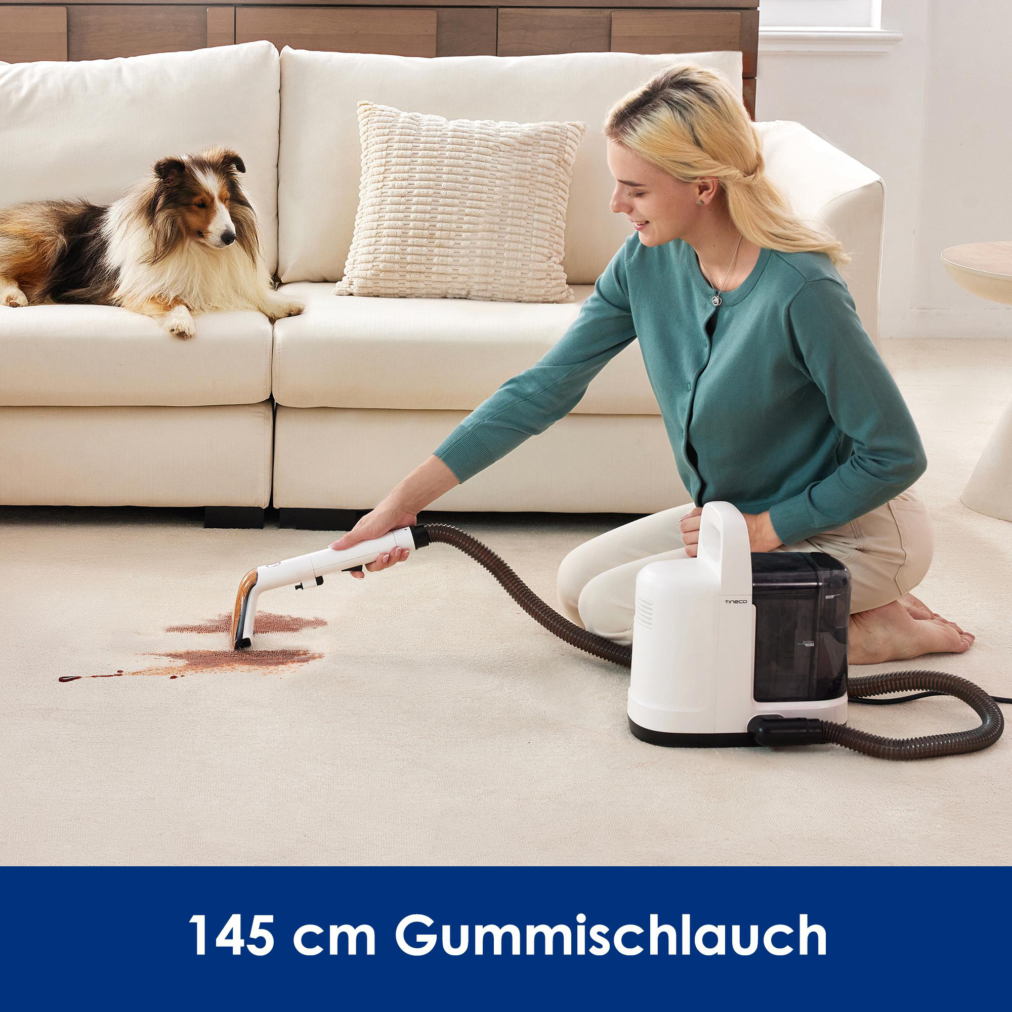Frau reinigt einen Teppichfleck mit einem Reiniger. Ein Hund ruht sich auf einer Couch aus. Der Reiniger hat einen Schlauch.