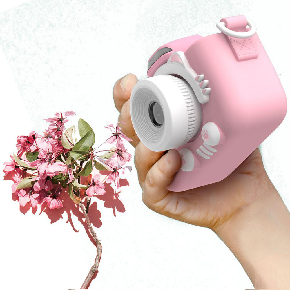 Hand hält eine rosa Kamera, in der Nähe von rosa Blumen.
