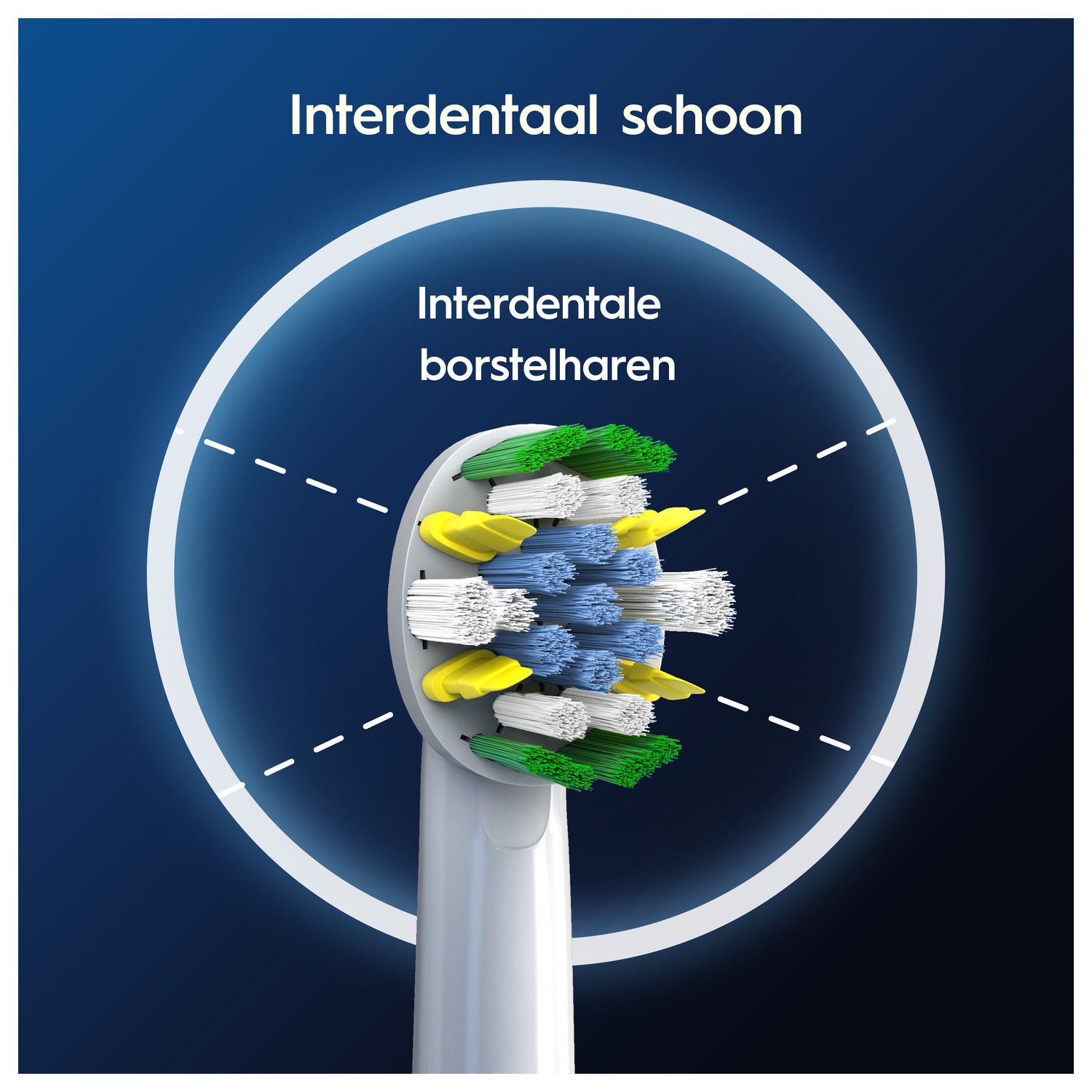Close-up van een tandenborstelkop met het label “Interdentaal schoon”, met gemarkeerde borstelharen.